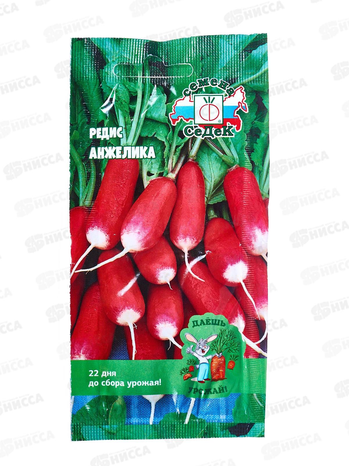 Редис Анжелика ДУ (Евро, 2) СеДек *10