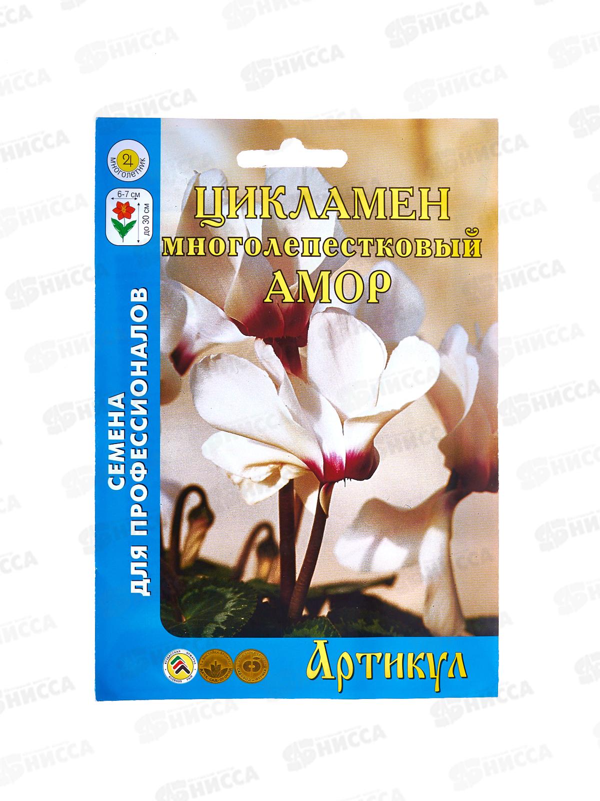 Цикламен перс Амор 7шт  цв/п *10  АРТ +