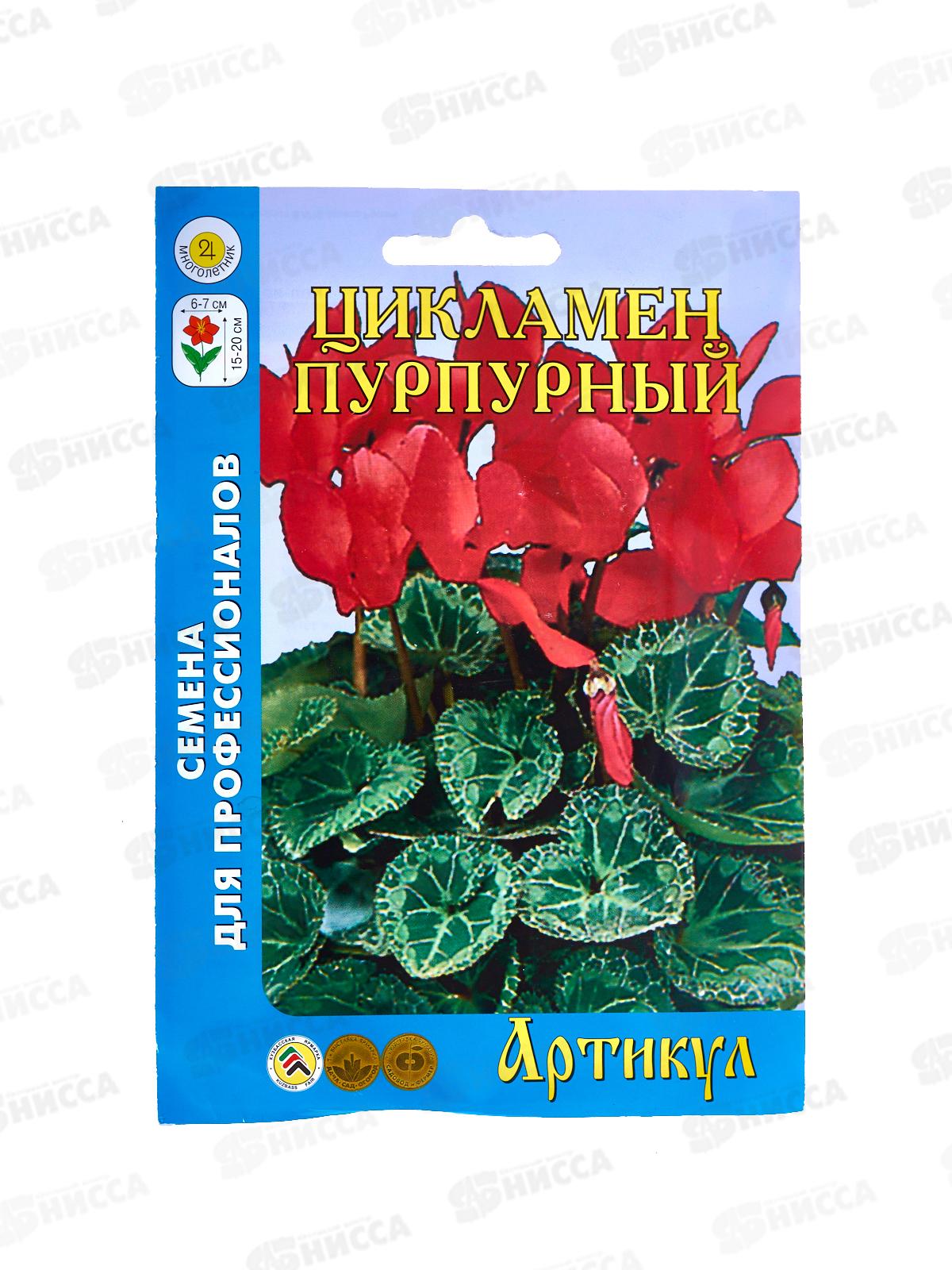 Цикламен перс Пурпурный 7шт цв/п *10  АРТ