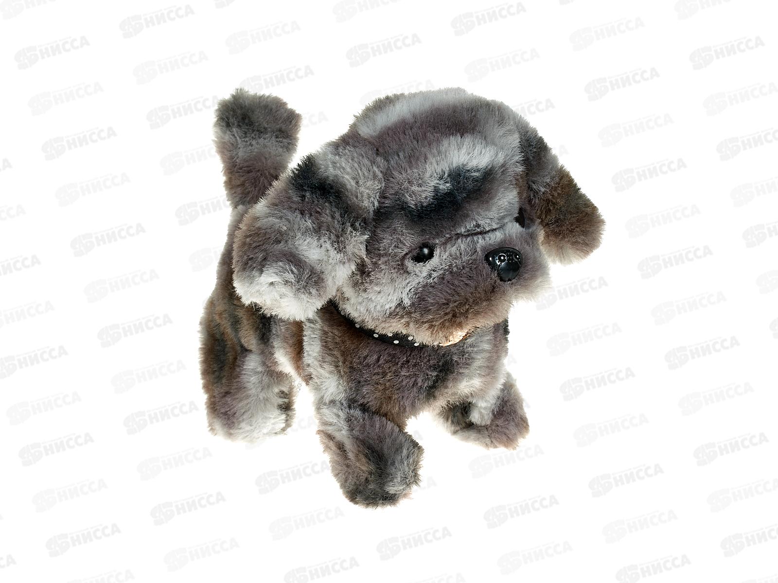 Собака Барбадос механическая 16см 4208, 386261  гб