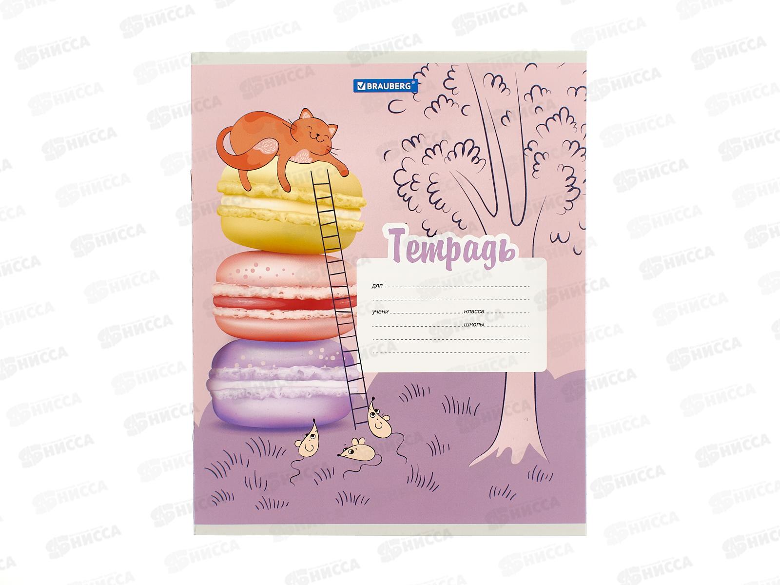 Тетрадь 12л лин. BRAU Озорные коты*10/280