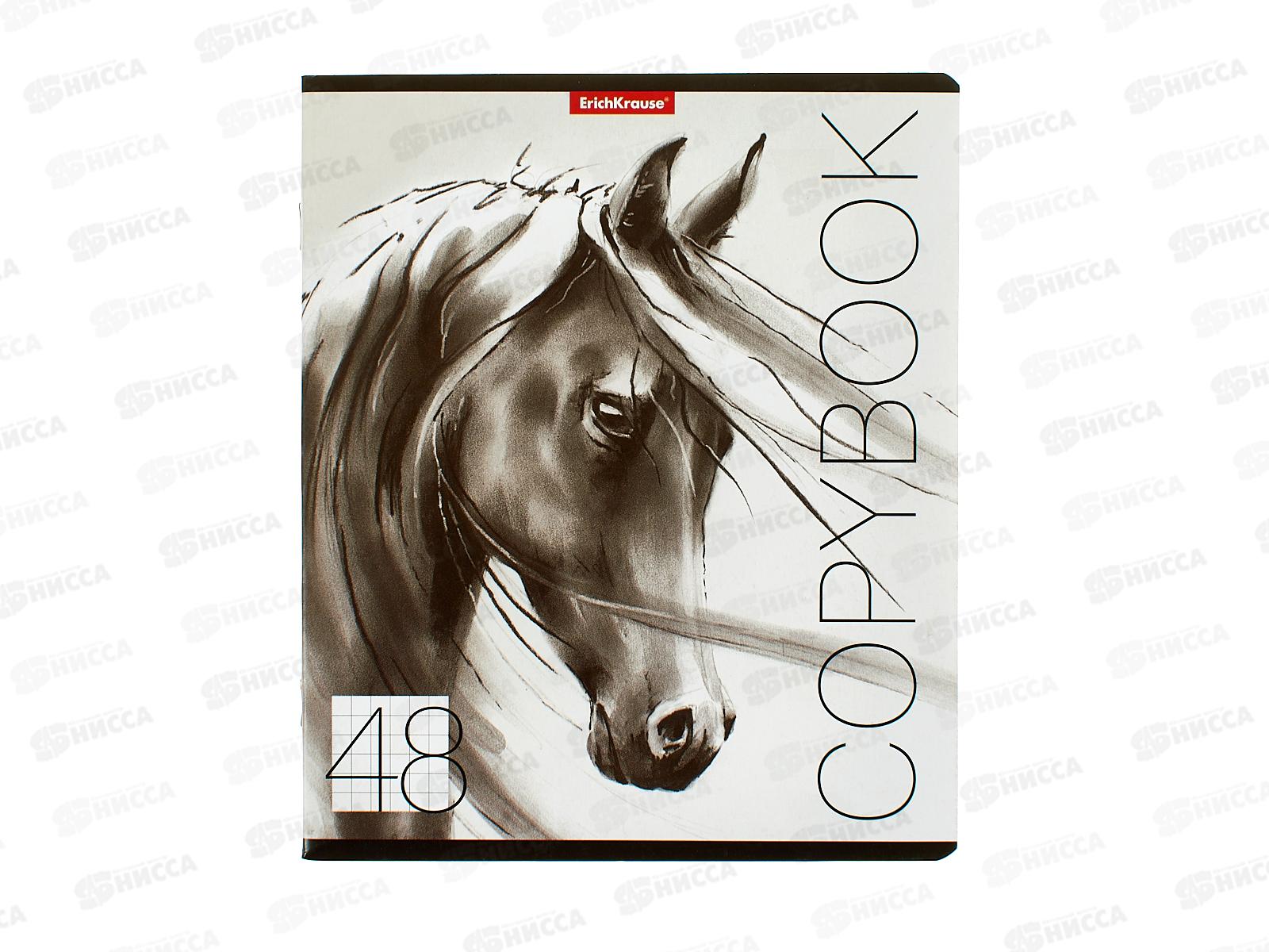 Тетрадь 48л кл. ПОЛИ 49632