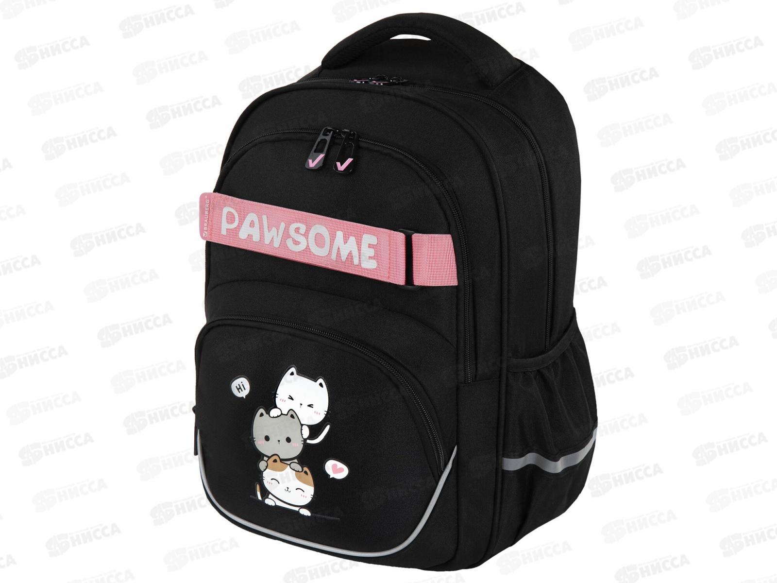 Рюкзак BRAU Motion 41*28*17см, Cat tower  2отд.  272033 *20