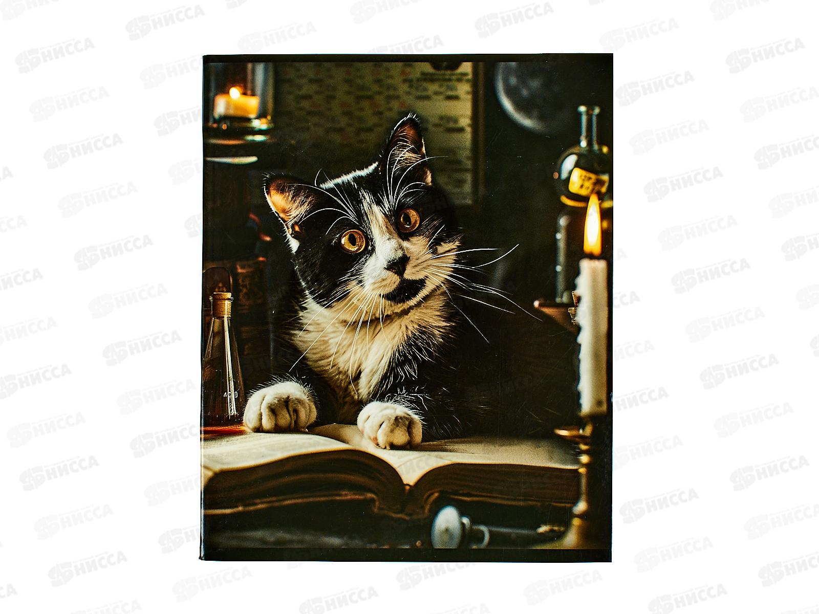 Тетрадь 48л кл. Centrum Коты,74466 *80