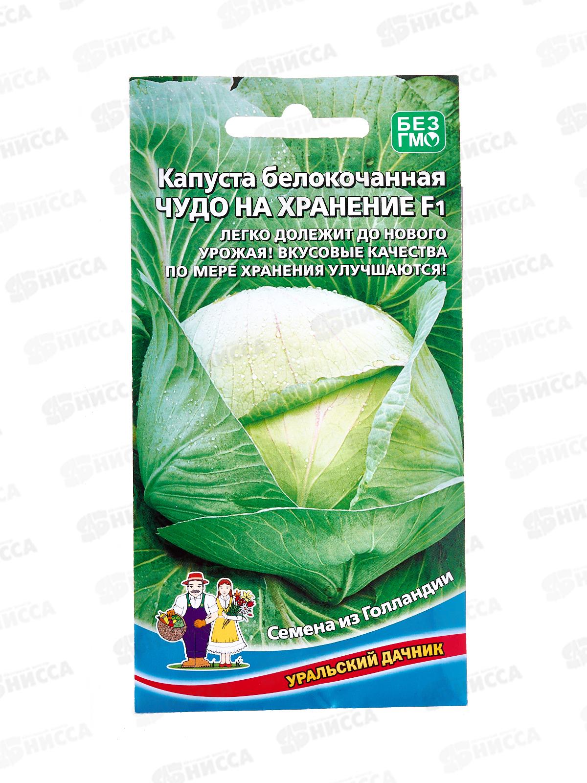 Капуста Чудо на хранение б/к F1 Евро *10 УрД!!!