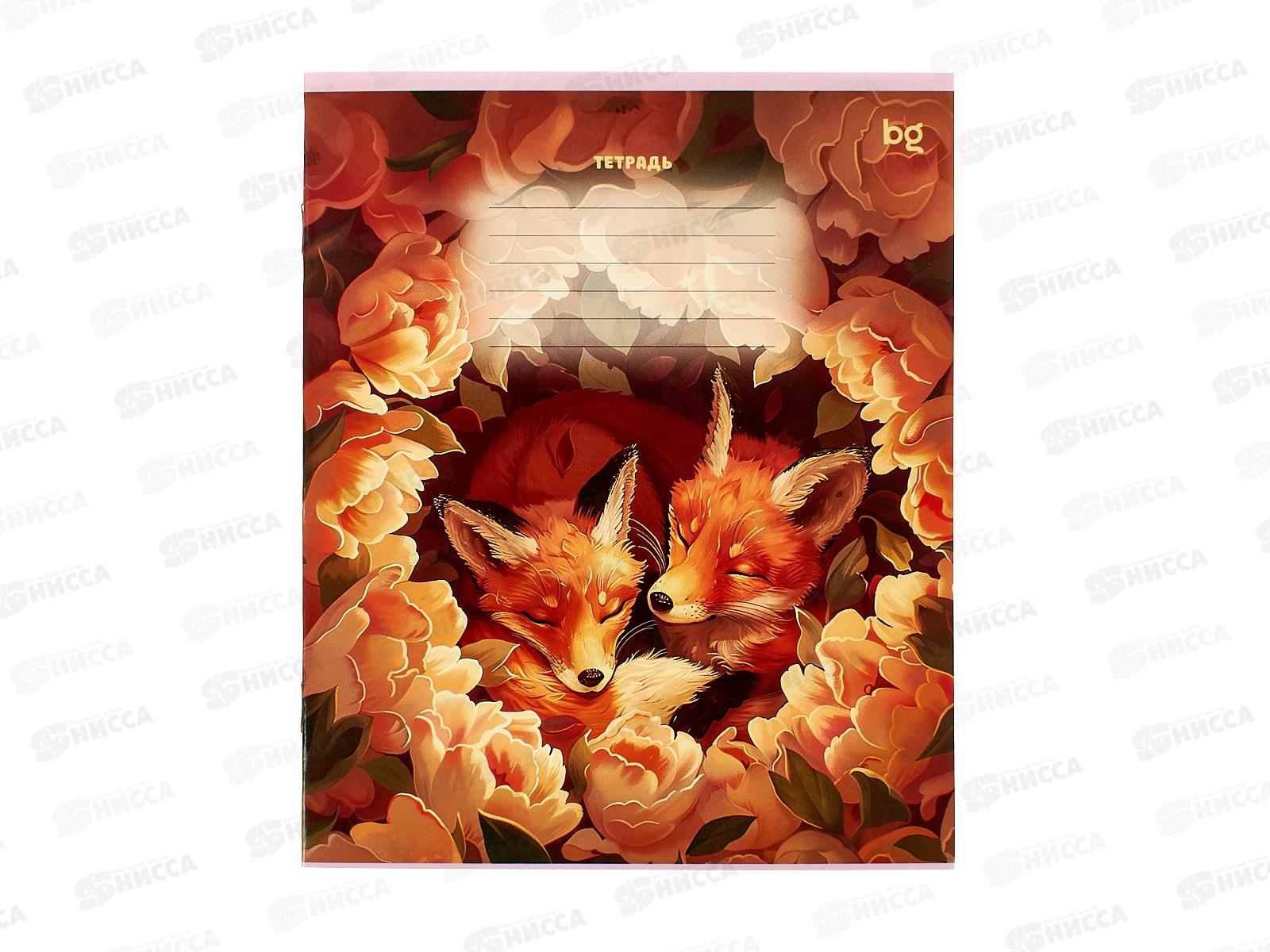 Тетрадь 12л лин. BG MIX-10 Девочки, эконом. 64138 *20/240
