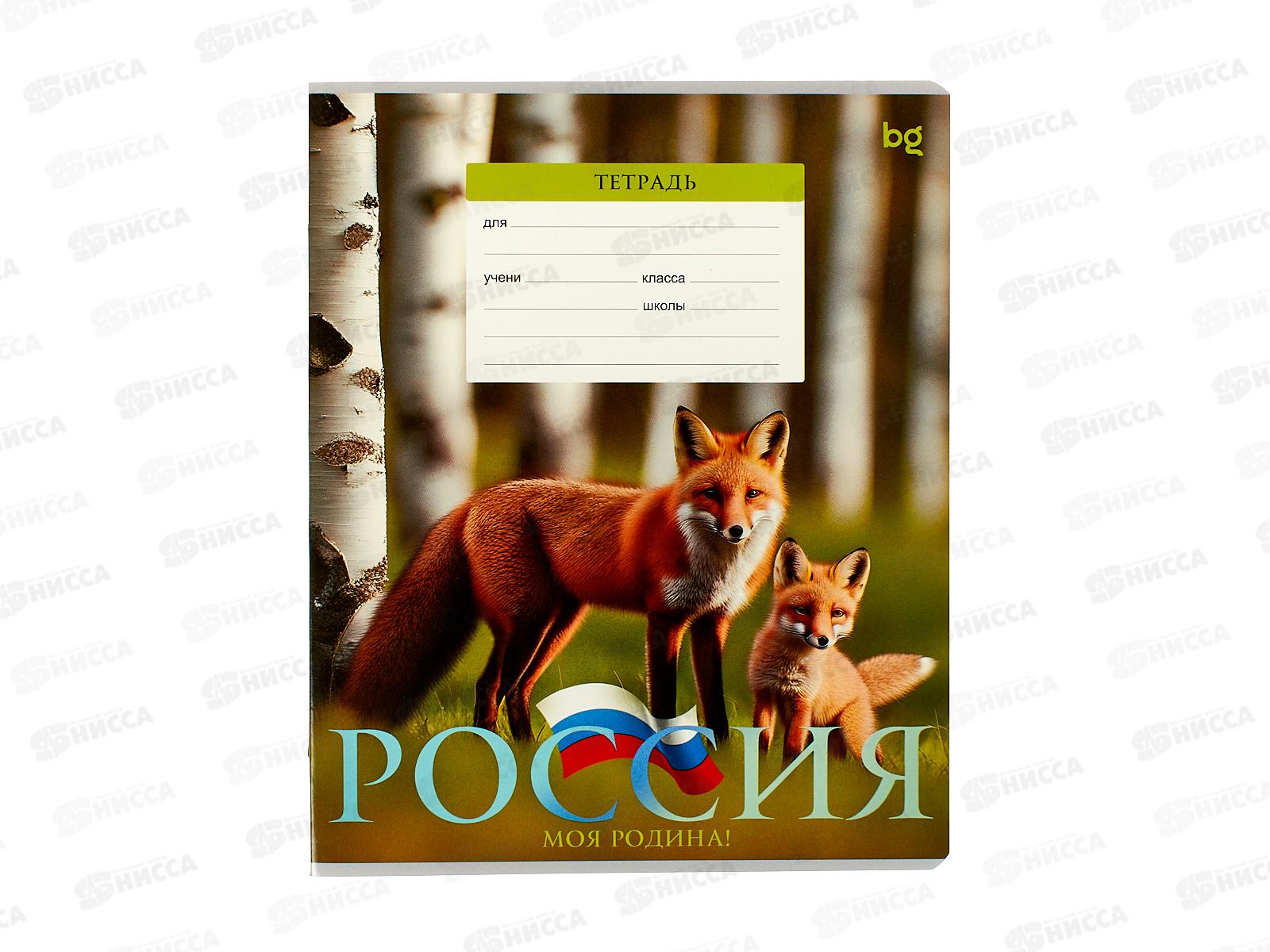 Тетрадь 18л кл. BG Патриотизм. Родина  12042 *10/140