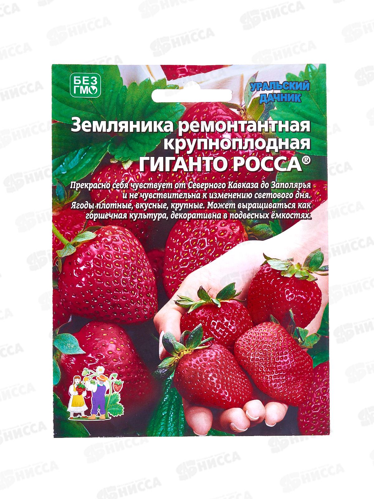 Земляника Гиганто росса-ремонтантная Евро *10 УрД