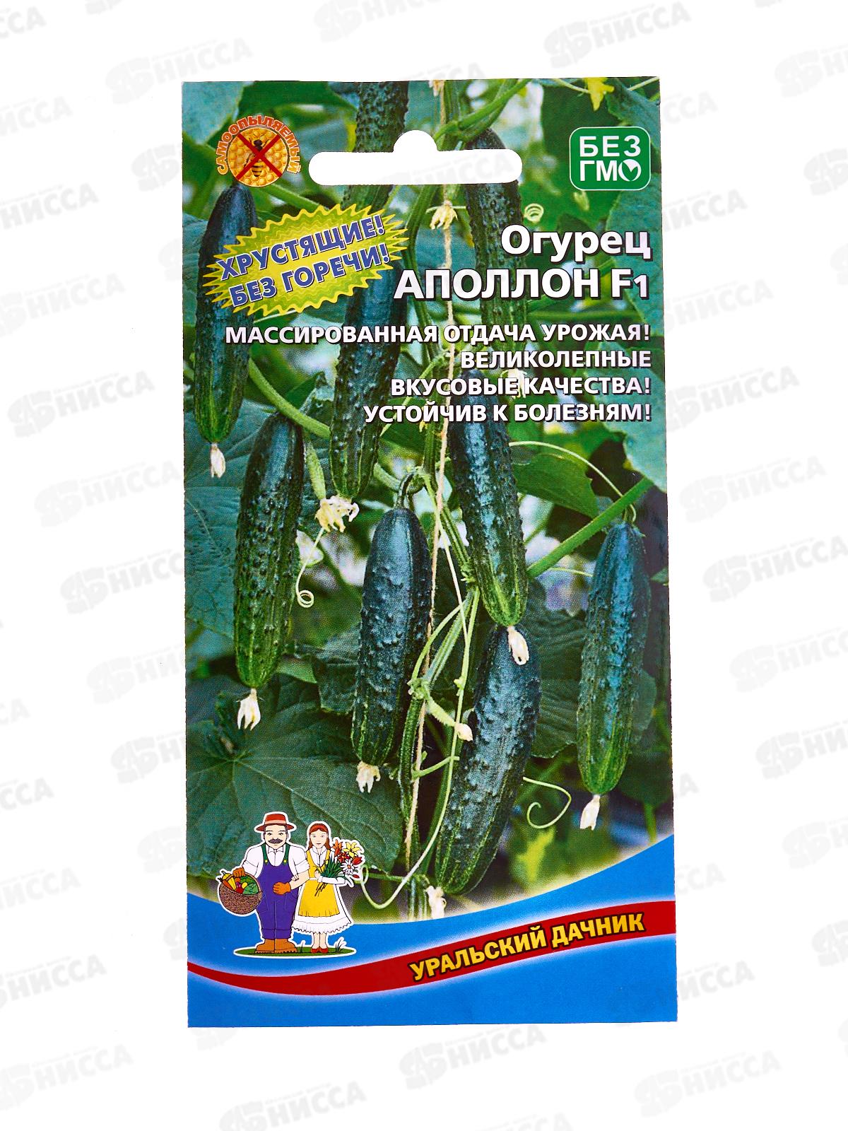 Огурец Аполлон F1 Евро *10 УрД +