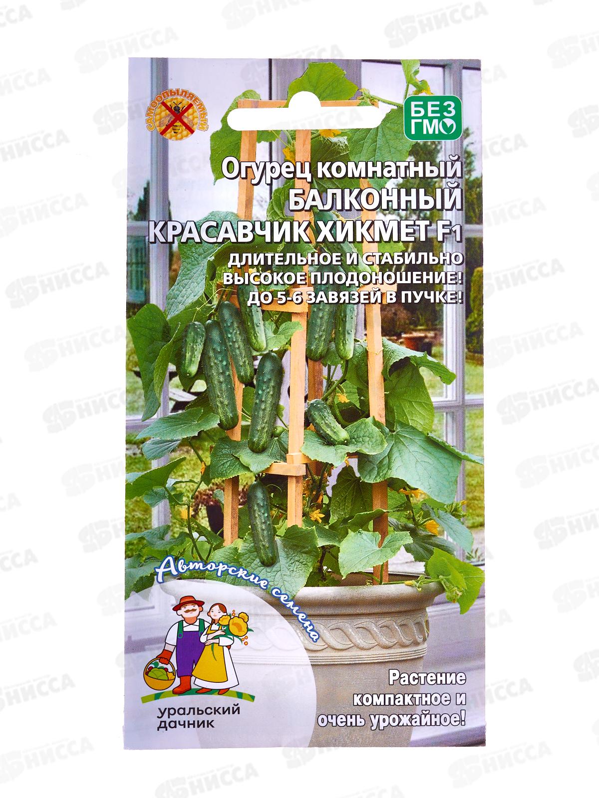 Огурец Балконный Красавчик Хикмет F1 Евро *10 УрД!!!