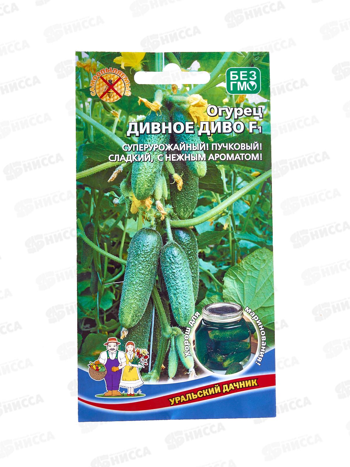 Огурец Дивное Диво F1 Евро *10 УрД!!!!