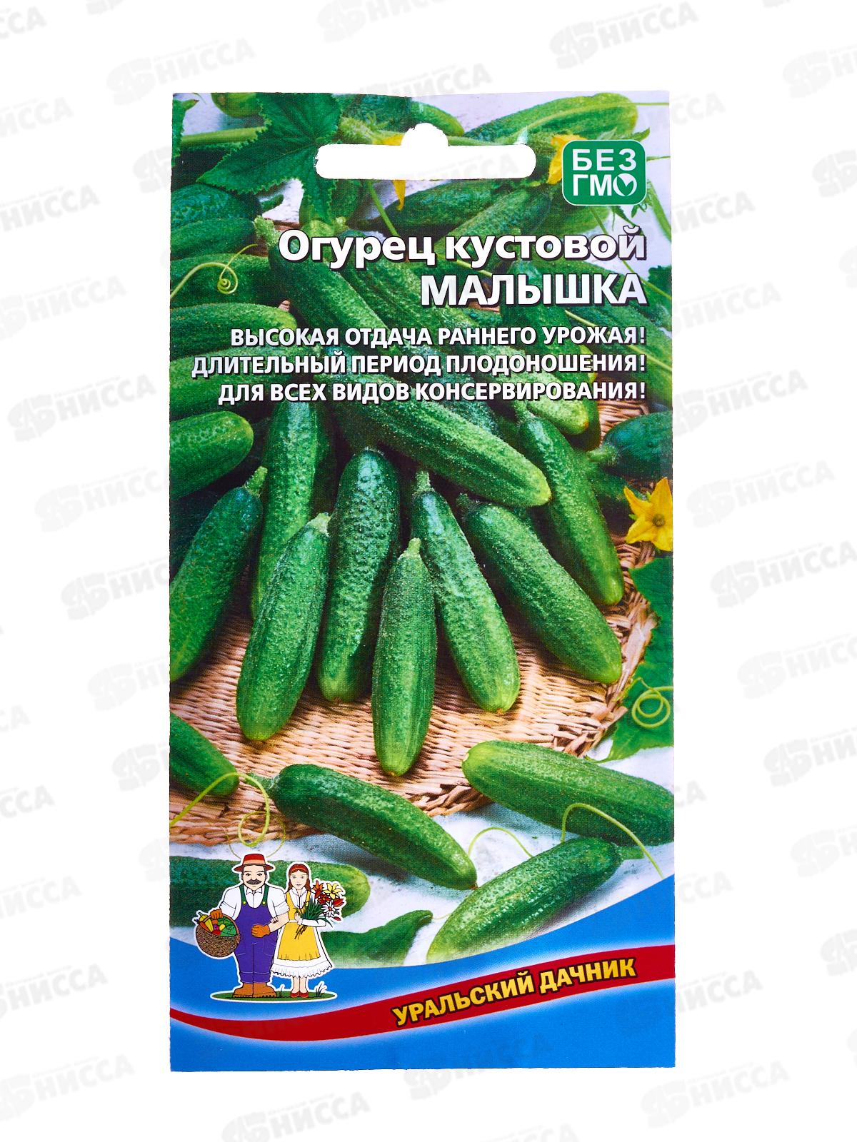 Огурец Малышка кустовой Евро *10 УрД +