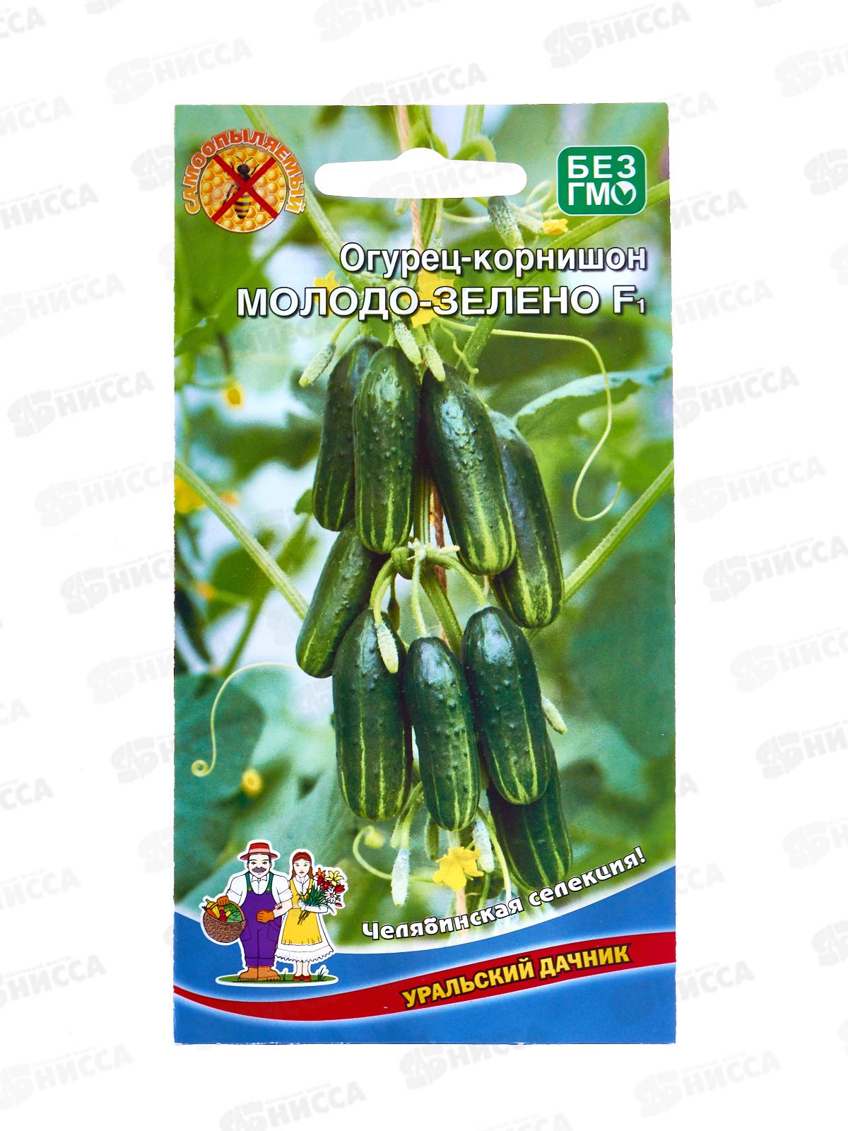 Огурец Молодо зелено F1 Евро *10 УрД!!!