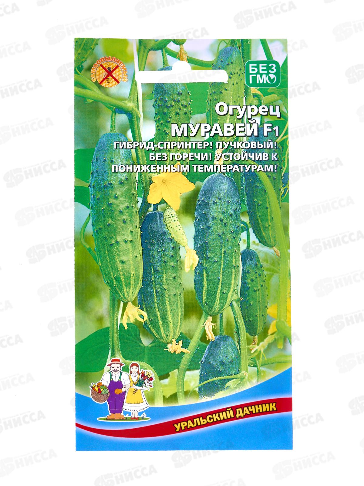 Огурец Муравей F1 Евро *10 УрД +
