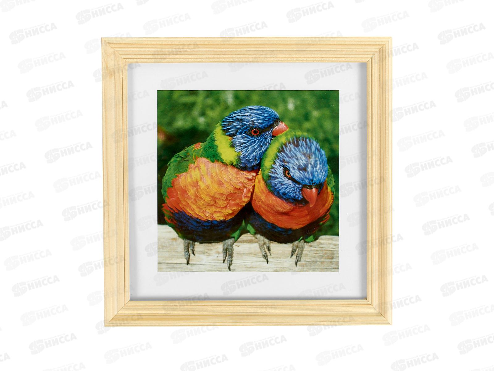 Фоторамка 15*15 б/цветн, 3N66 *24