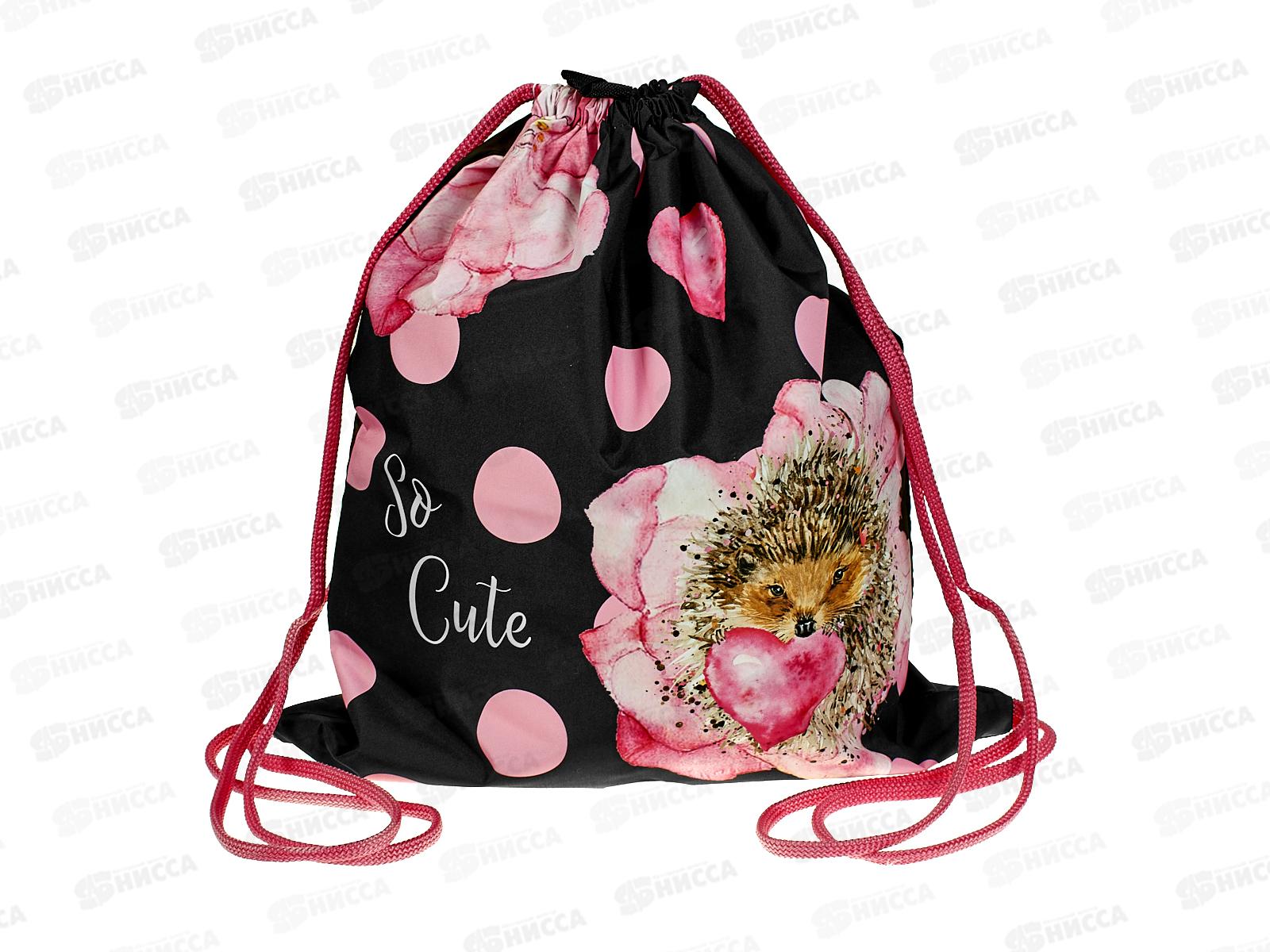 Мешок для обуви Хат Ежик в горошек 91013*12