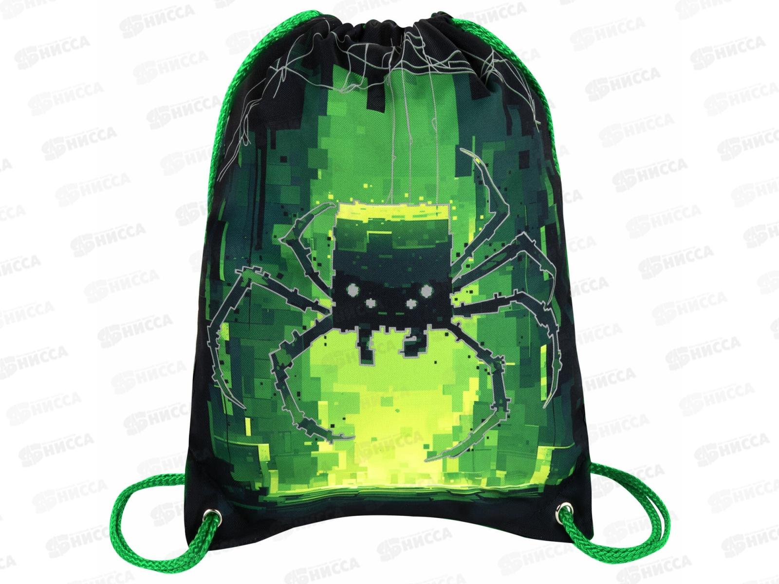 Мешок д/обуви BRAU Premium Digital sprider 42*33см, 273444 *5