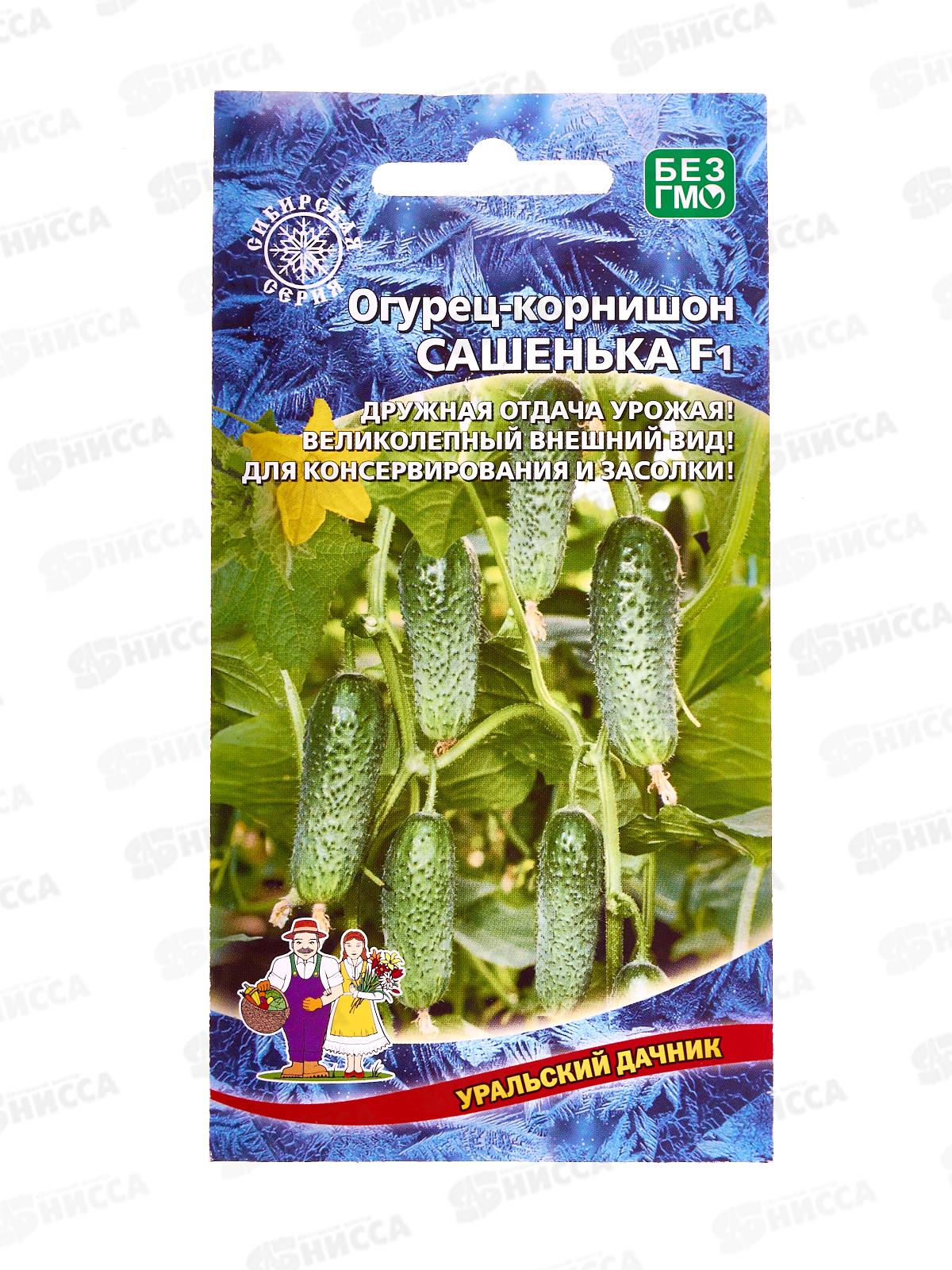 Огурец Сашенька F1 корнишон Евро *10 УрД!!!