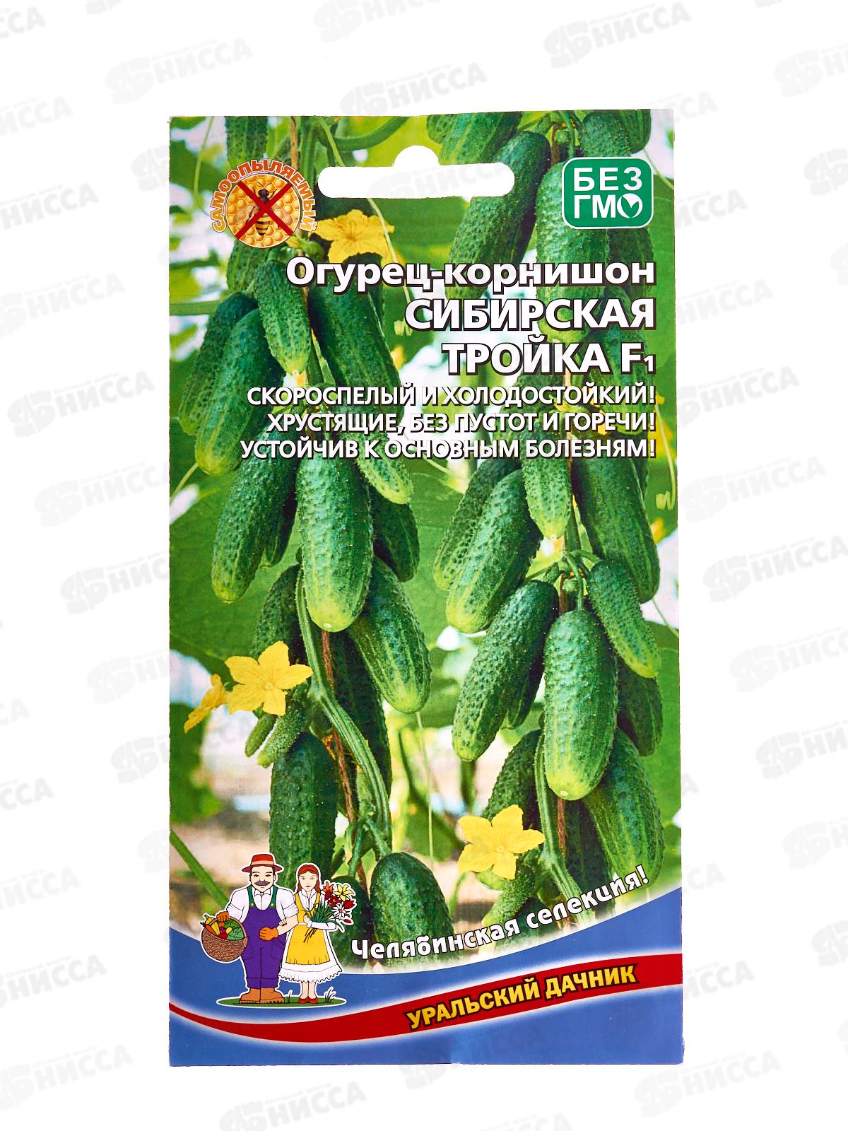 Огурец Сибирская тройка F1 Евро  *10 УрД!!!
