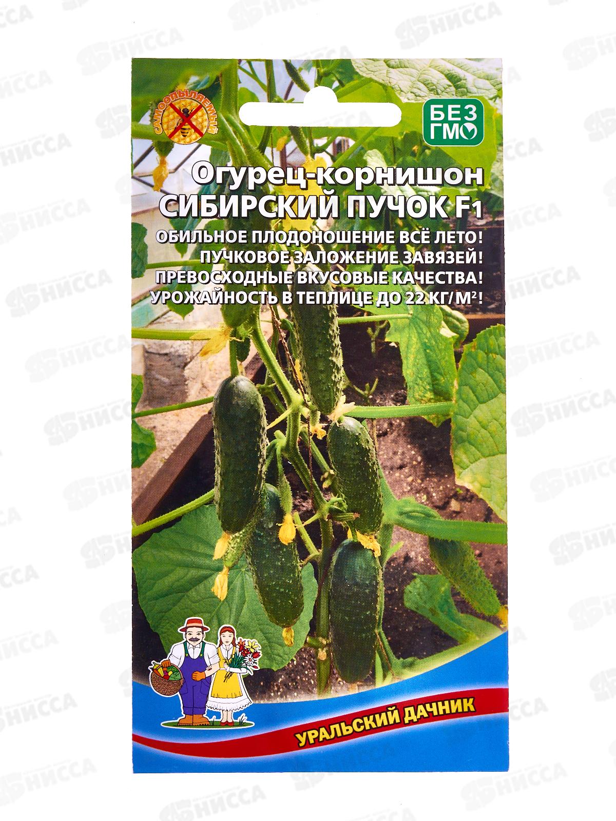 Огурец Сибирский пучок F1 Евро  *10 УрД +