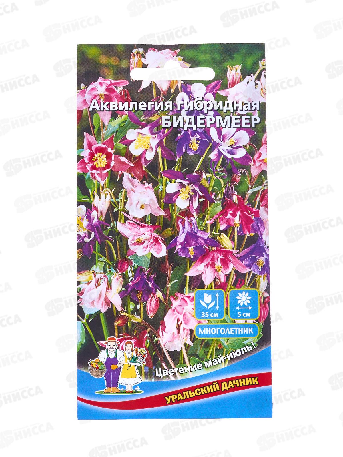 Аквилегия Бидермеер гибридная Евро *20 УрД