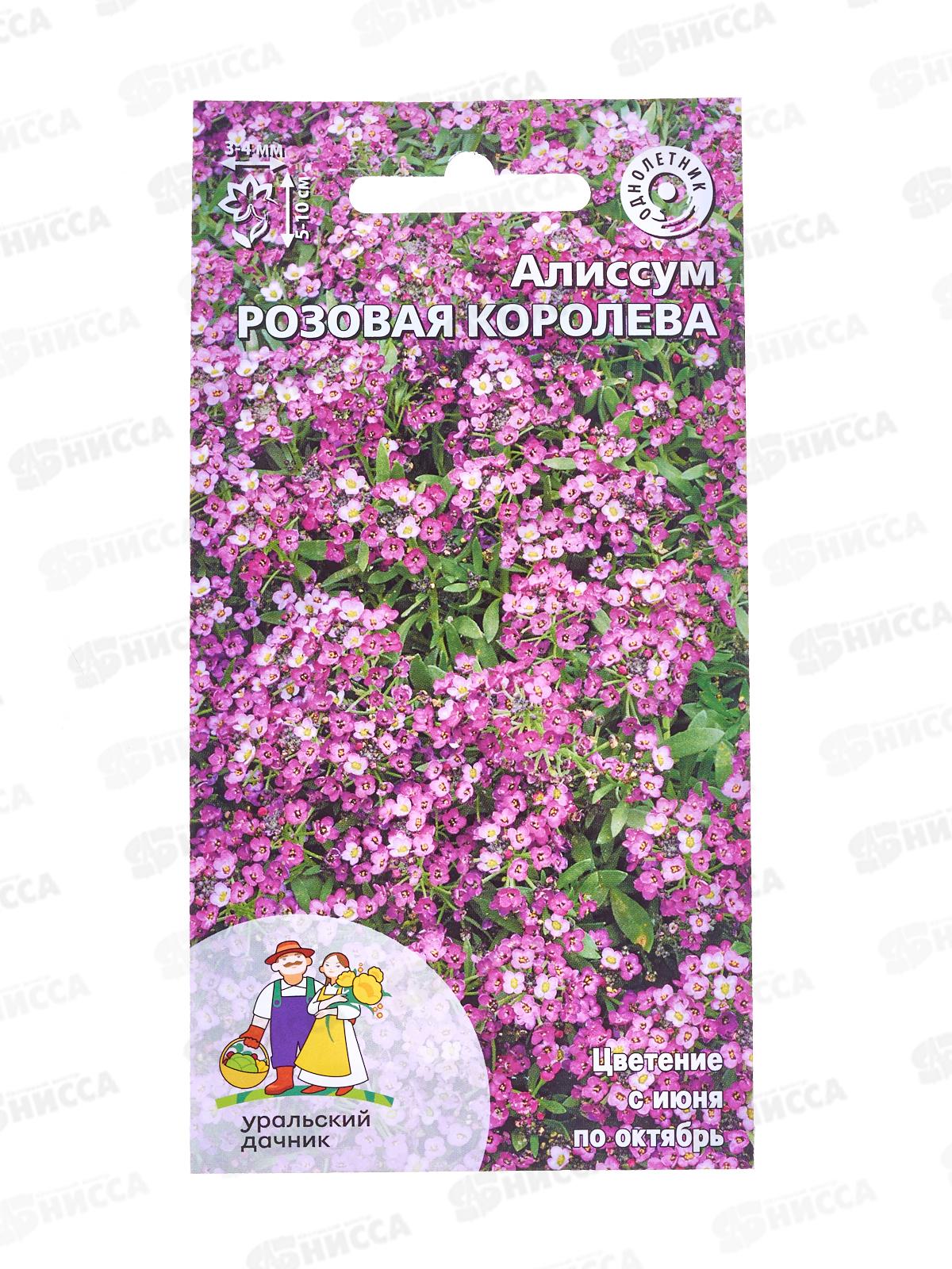 Алиссум Розовая Королева Евро *10 УрД