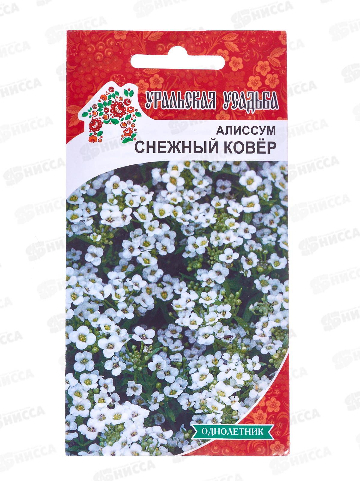 Алиссум Снежный ковер УУ Евро *10 УрД