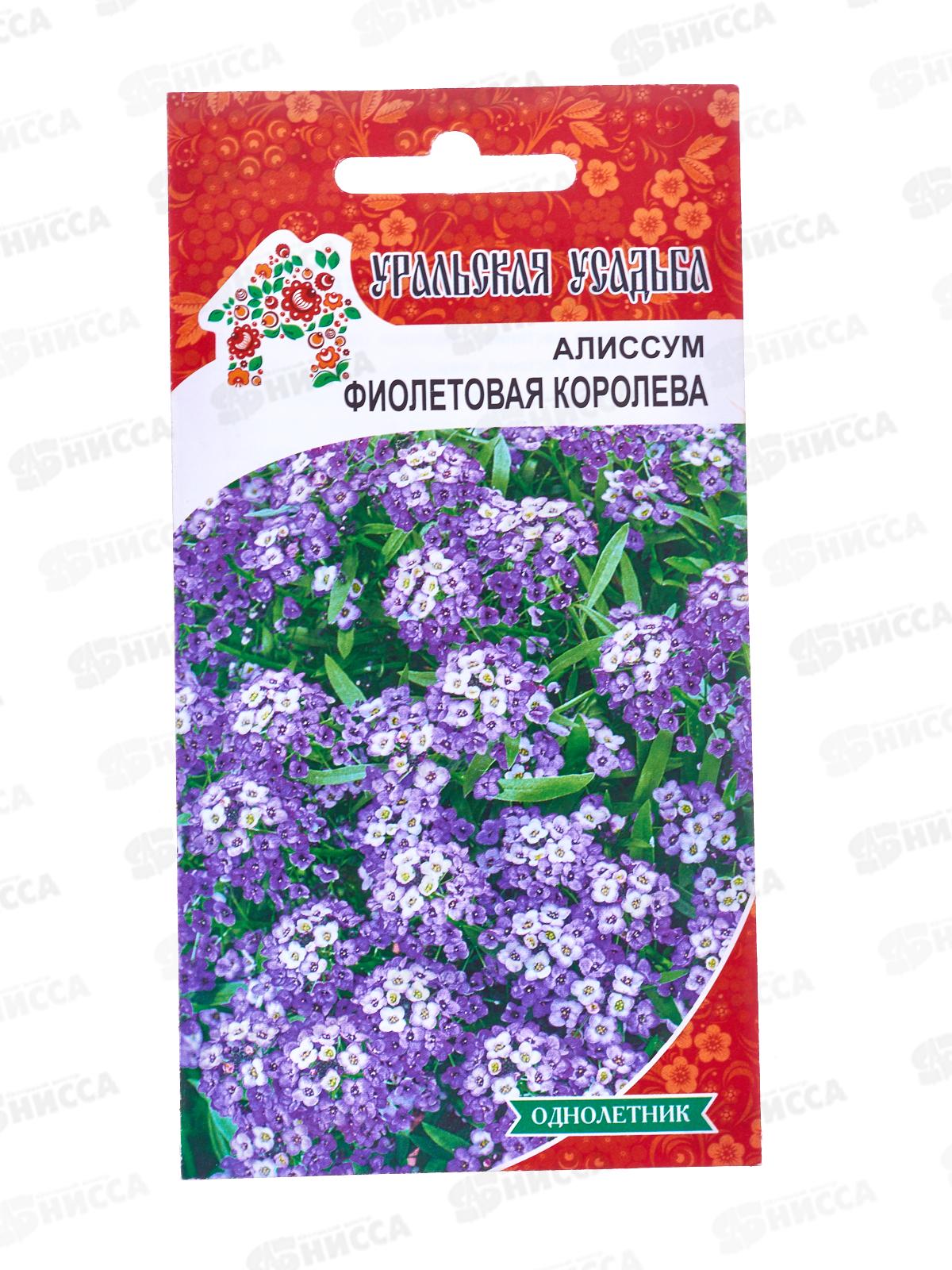 Алиссум Фиолетовая королева УУ Евро *10 УрД