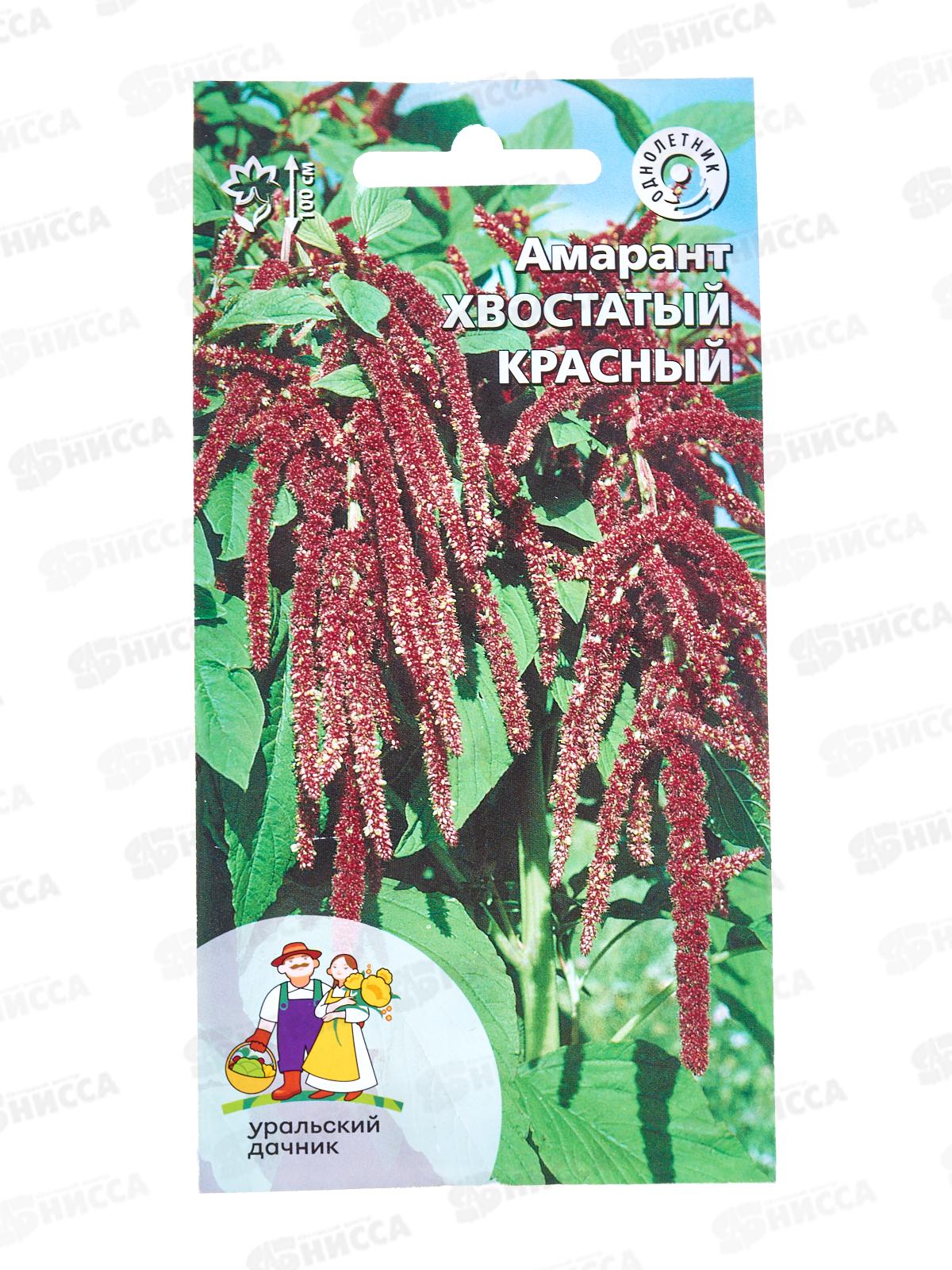 Амарант Хвостатый красный Евро *20 УрД +