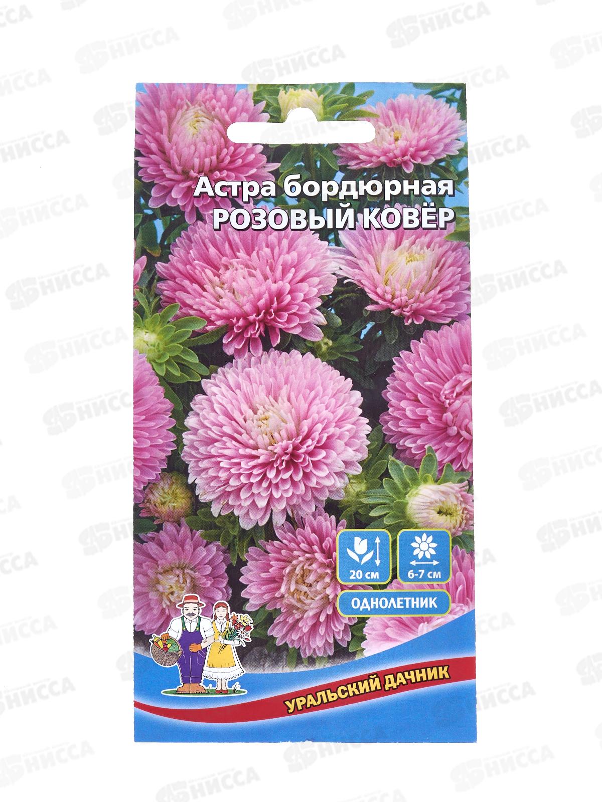 Астра Розовый ковер бордюрная Евро *10 УрД