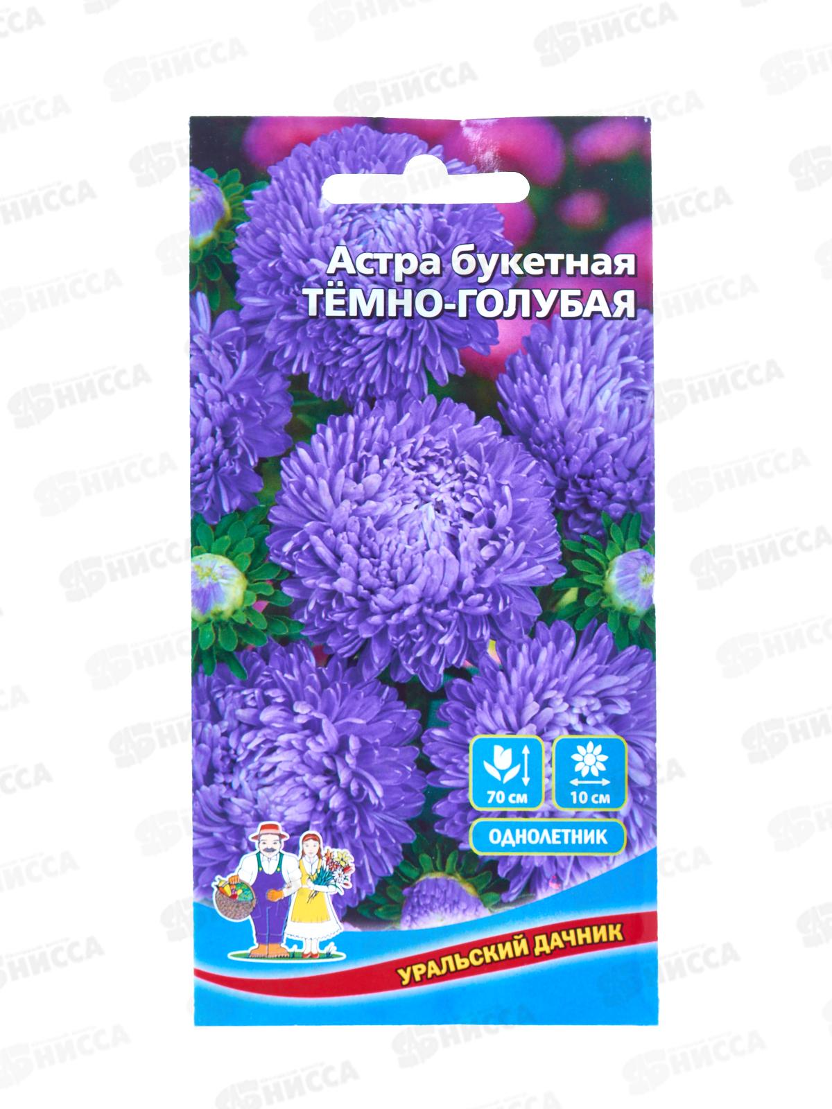 Астра Букетная темно-голубая Евро *10 УрД