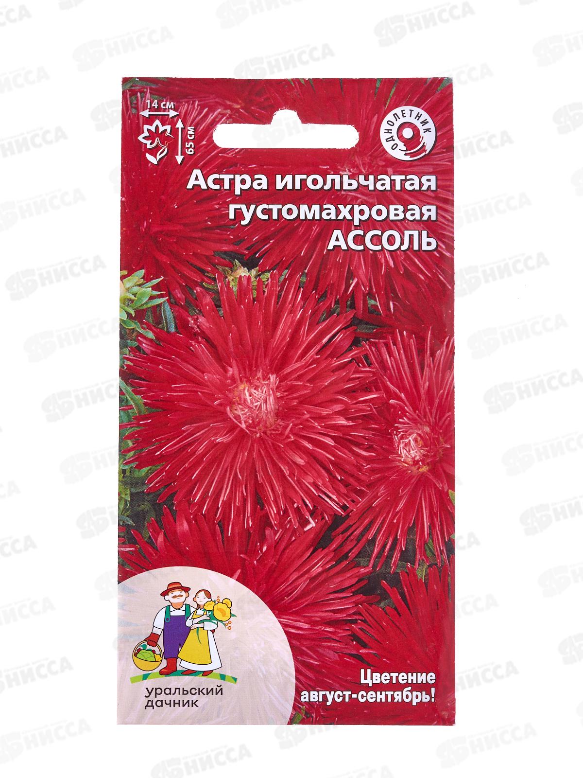 Астра Ассоль игольчатая  Евро *10 УрД