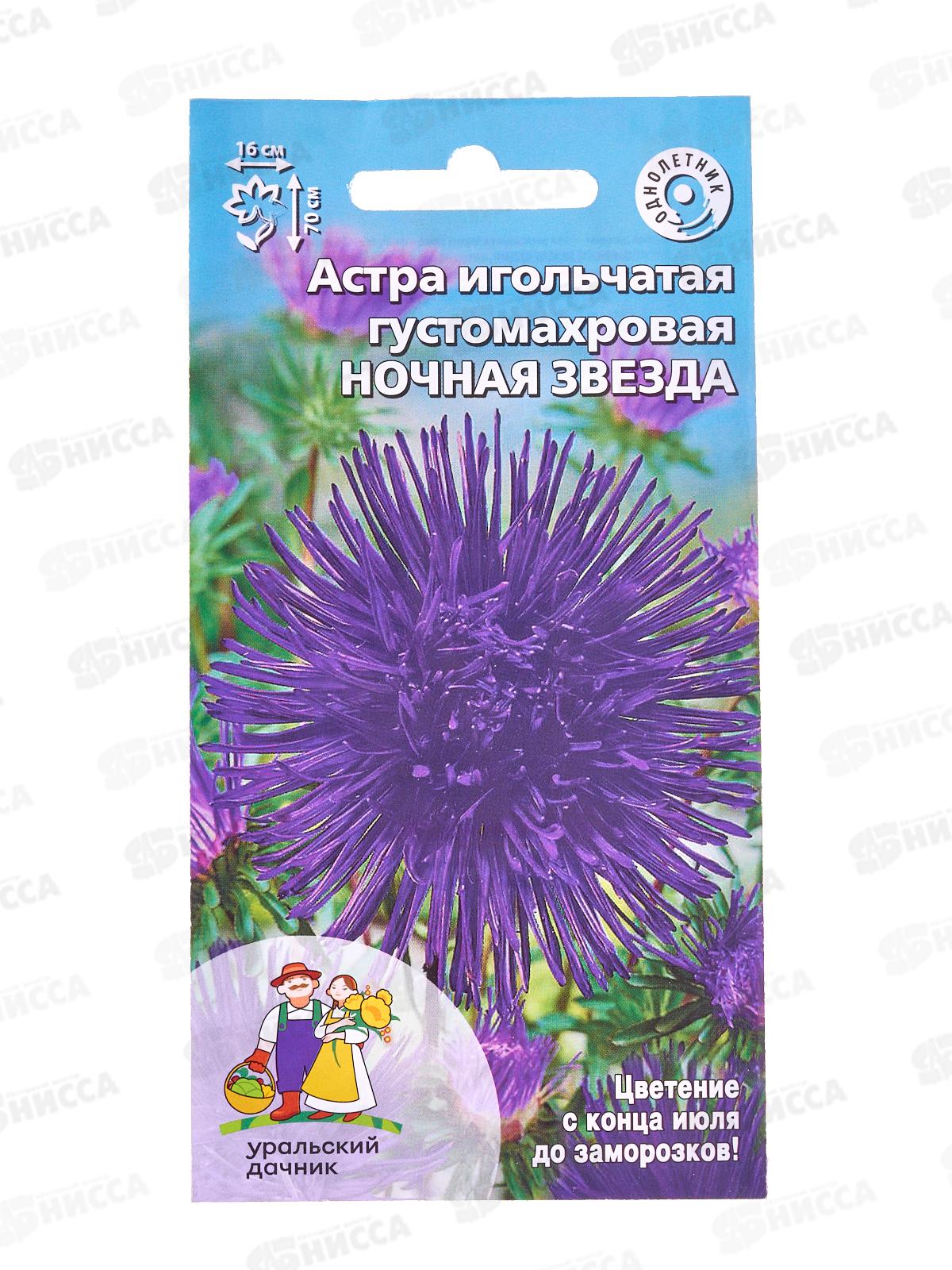 Астра Ночная звезда игольчатая густомахровая Евро *10 УрД +