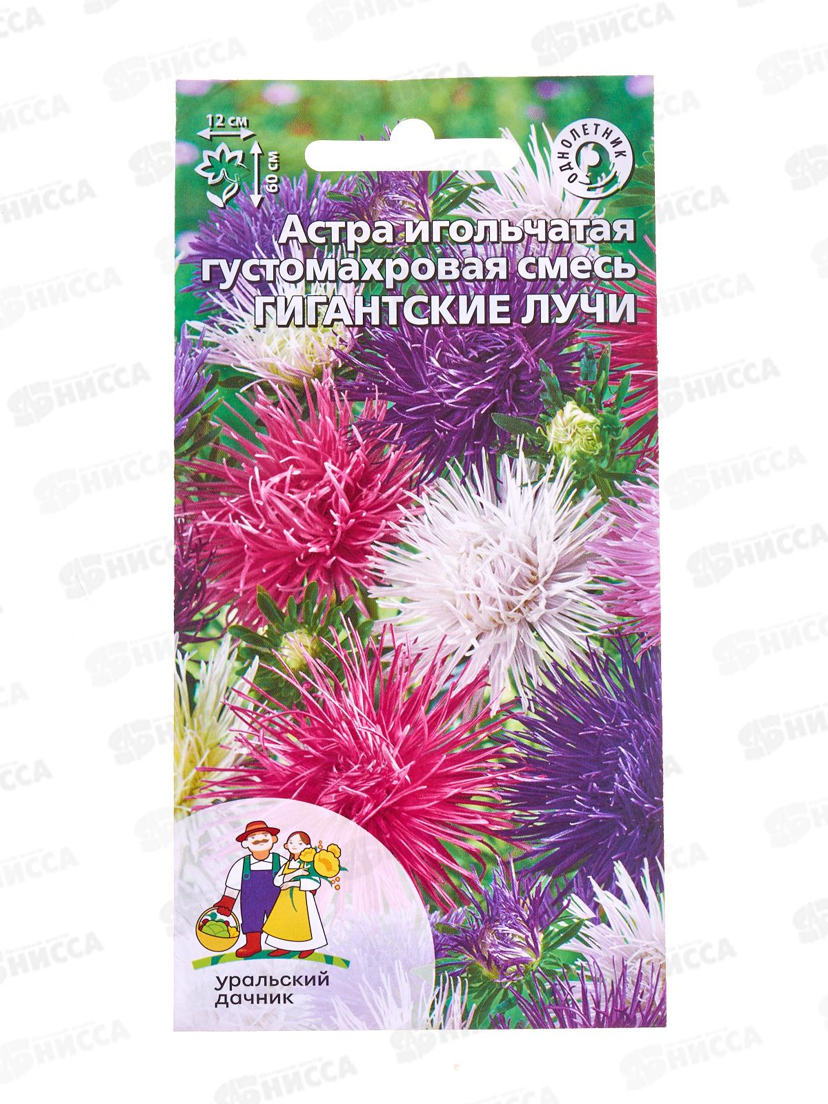 Астра Гигантские лучи игольчатая  Евро *10 УрД