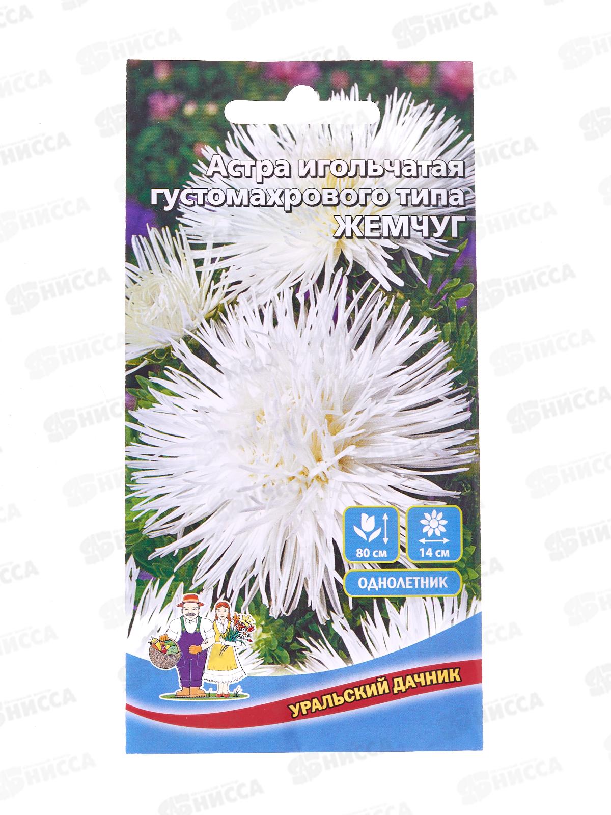 Астра Жемчуг игольчатая  Евро *10 УрД