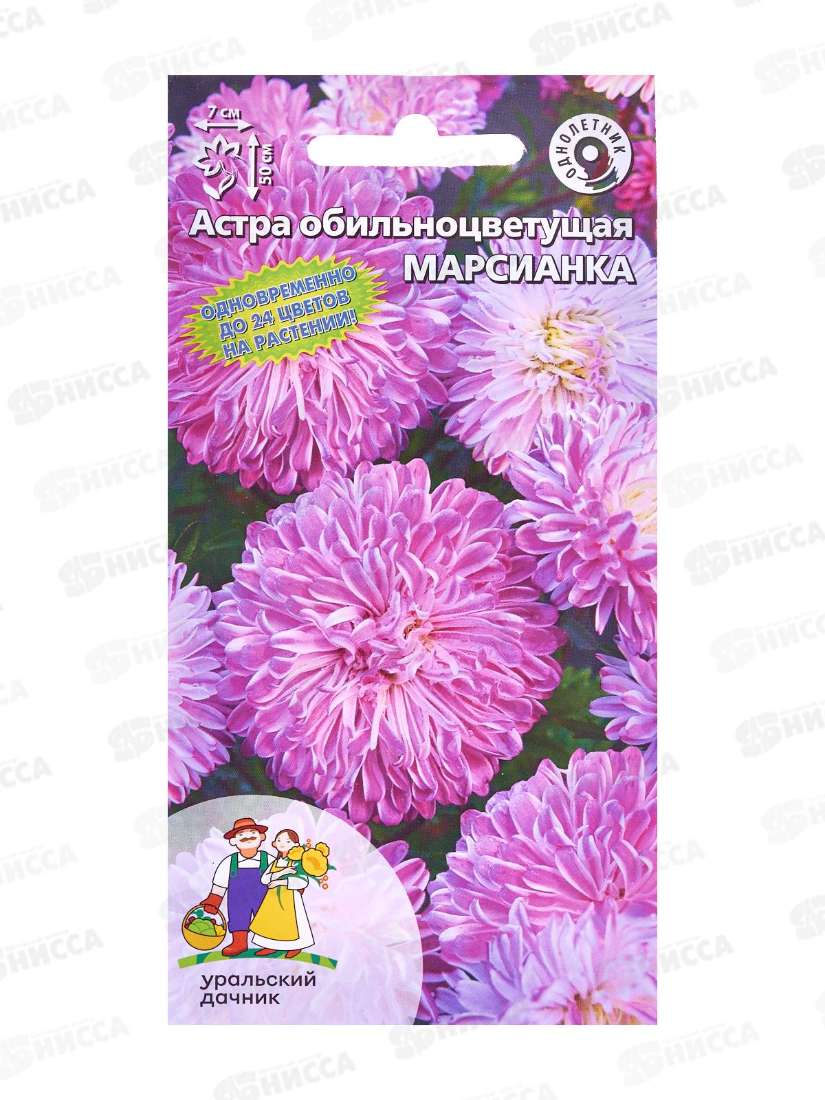 Астра Марсианка обильноцветковая Евро *10 УрД +