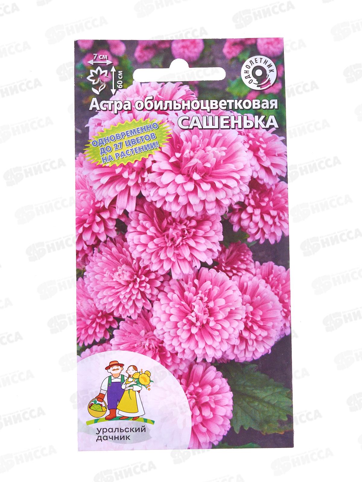 Астра Сашенька обильноцветковая Евро *10 УрД +