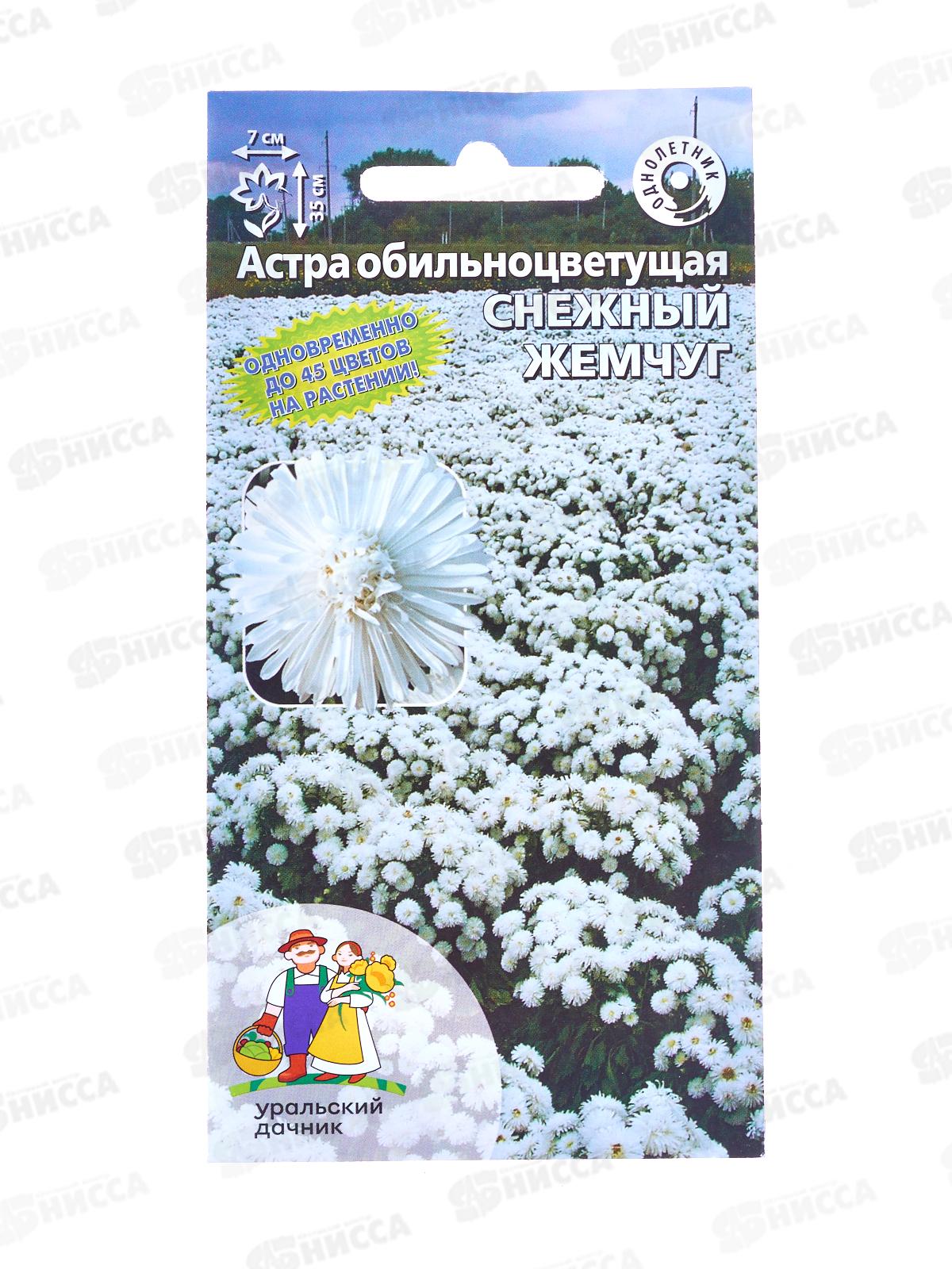 Астра Снежный жемчуг обильноцветковая Евро *10 УрД +