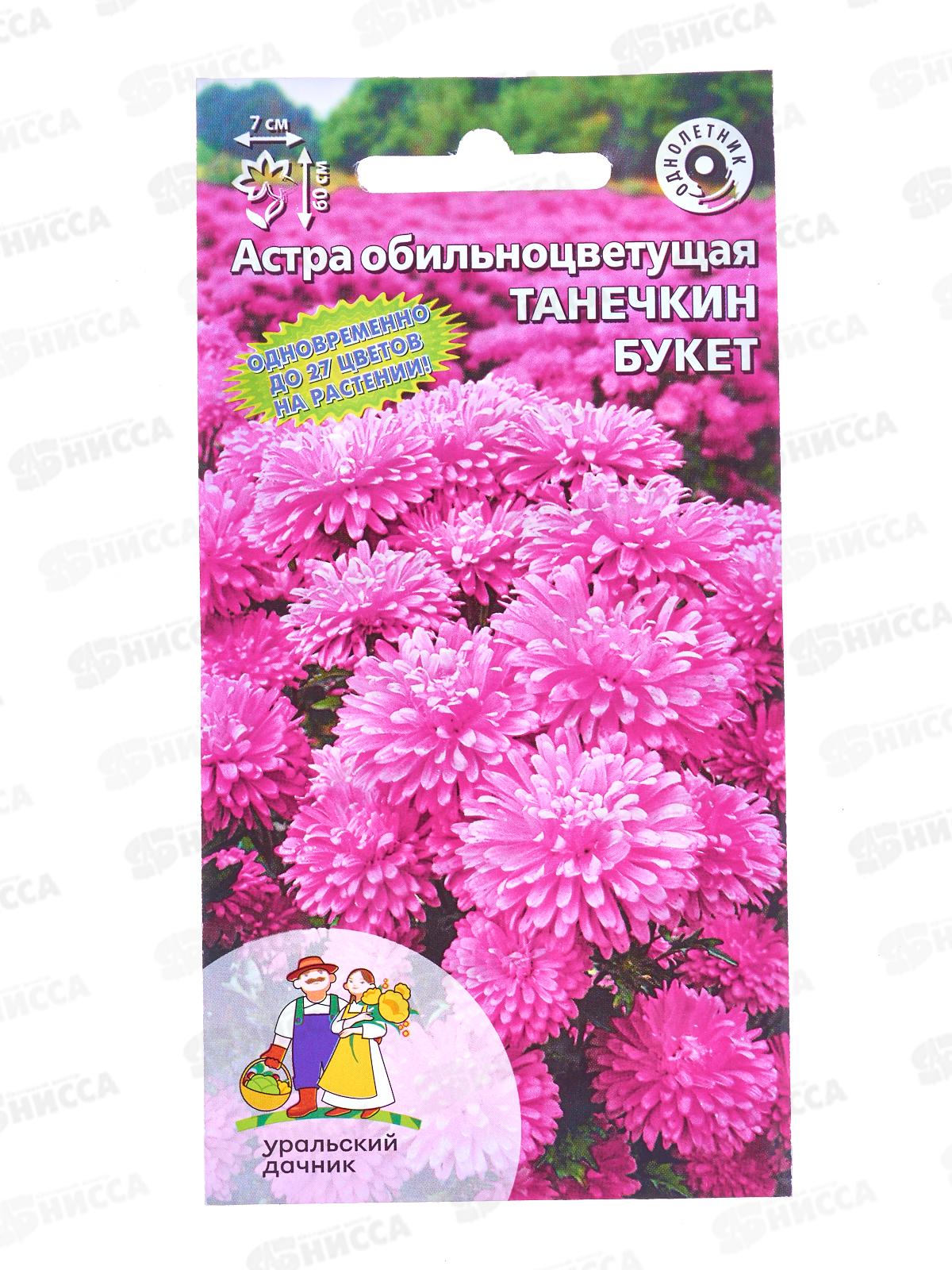 Астра Танечкин букет обильноцветковая Евро *10 УрД