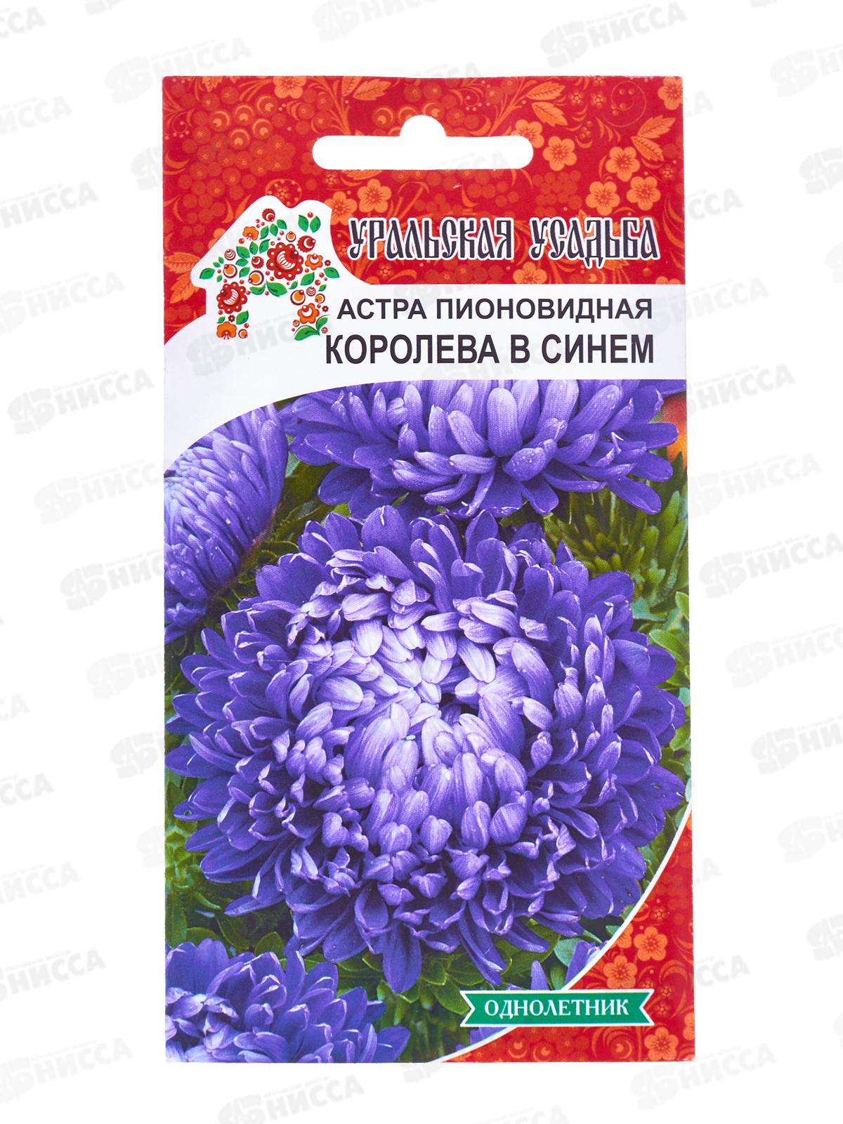 Астра Королева в синем  Евро УУ *10 УрД