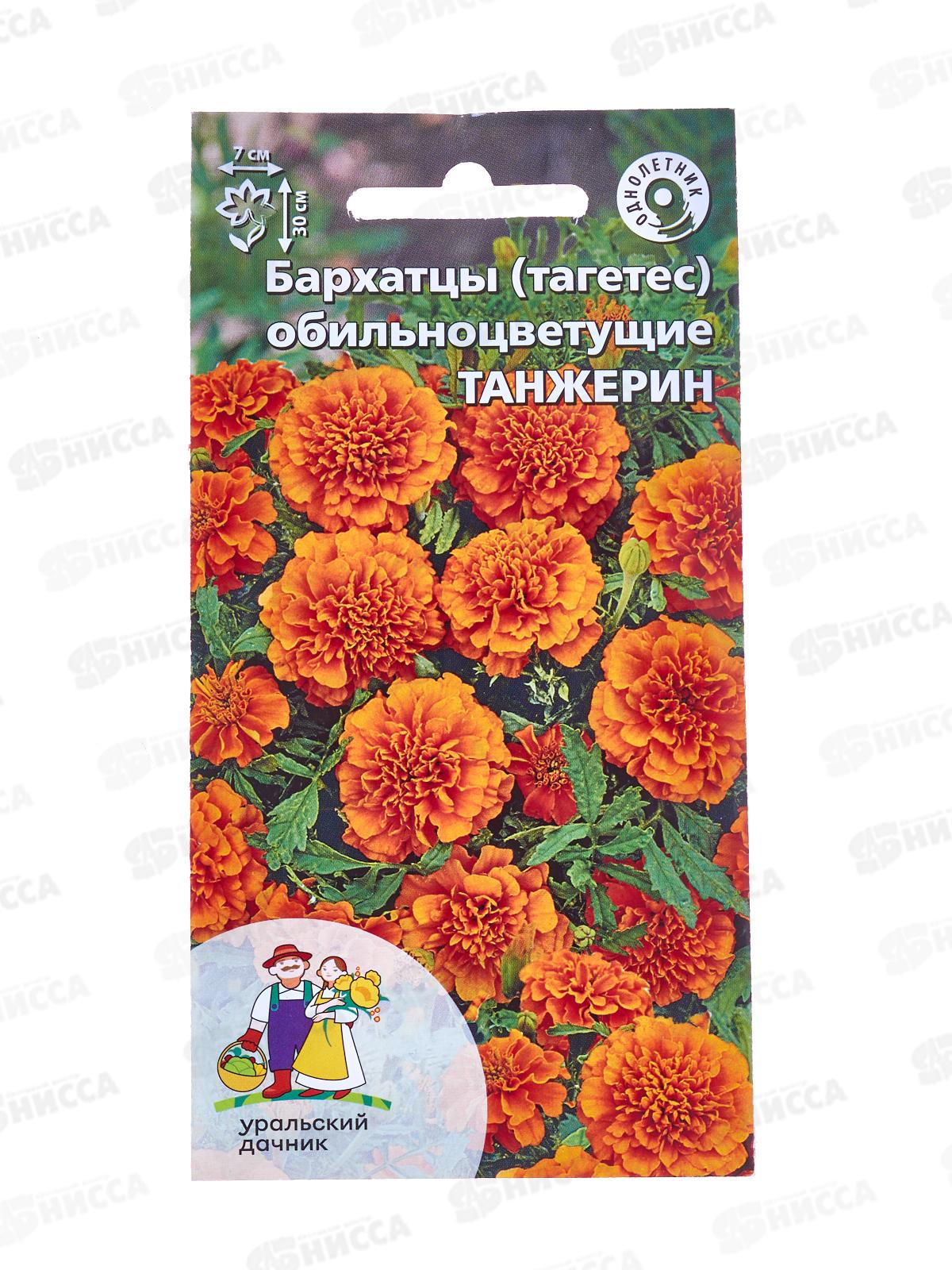 Бархатцы Танжерин Евро *10 УрД