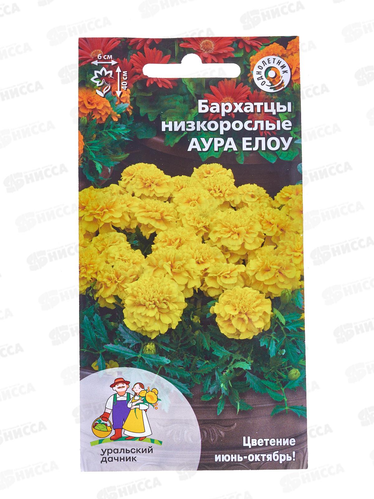 Бархатцы Аура Елоу Евро *10 УрД