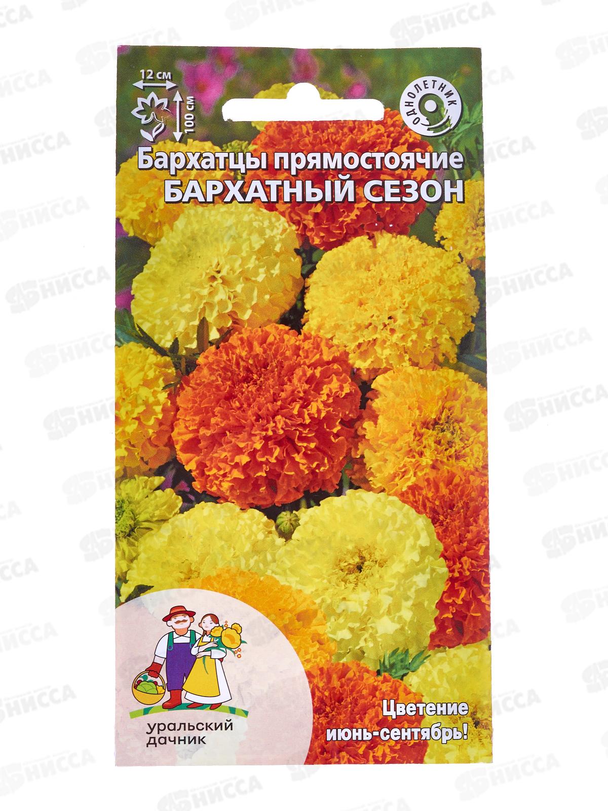 Бархатцы Бархатный сезон Евро *10 УрД