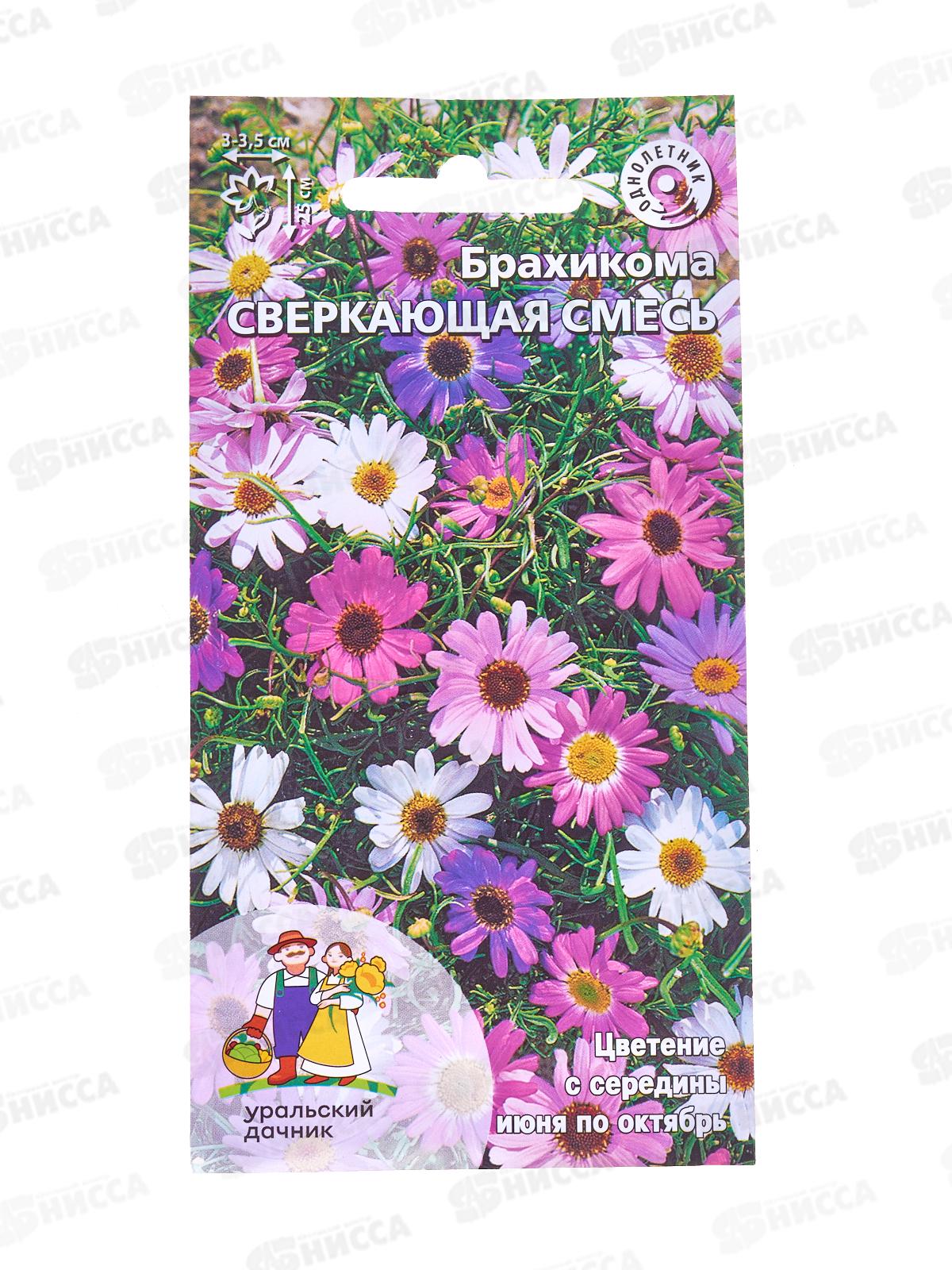 Брахикома Сверкающая смесь Евро *10 УрД +