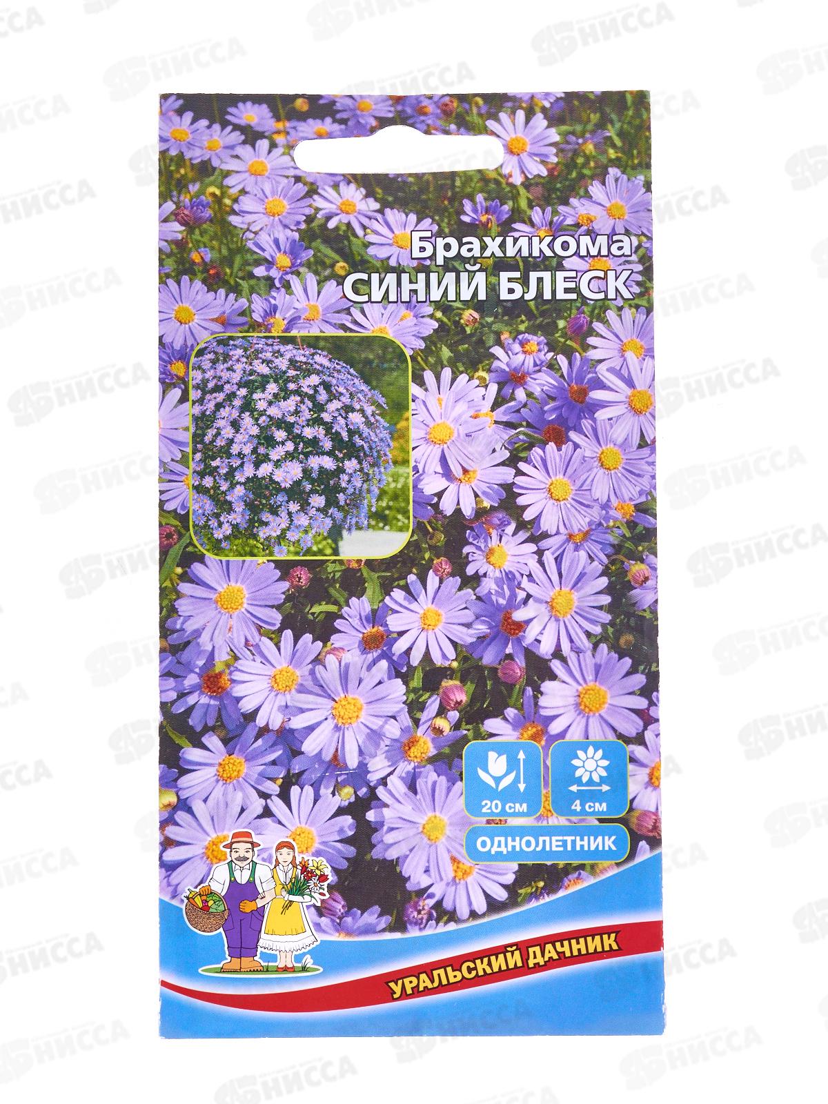 Брахикома Синий Блеск Евро *10 УрД +