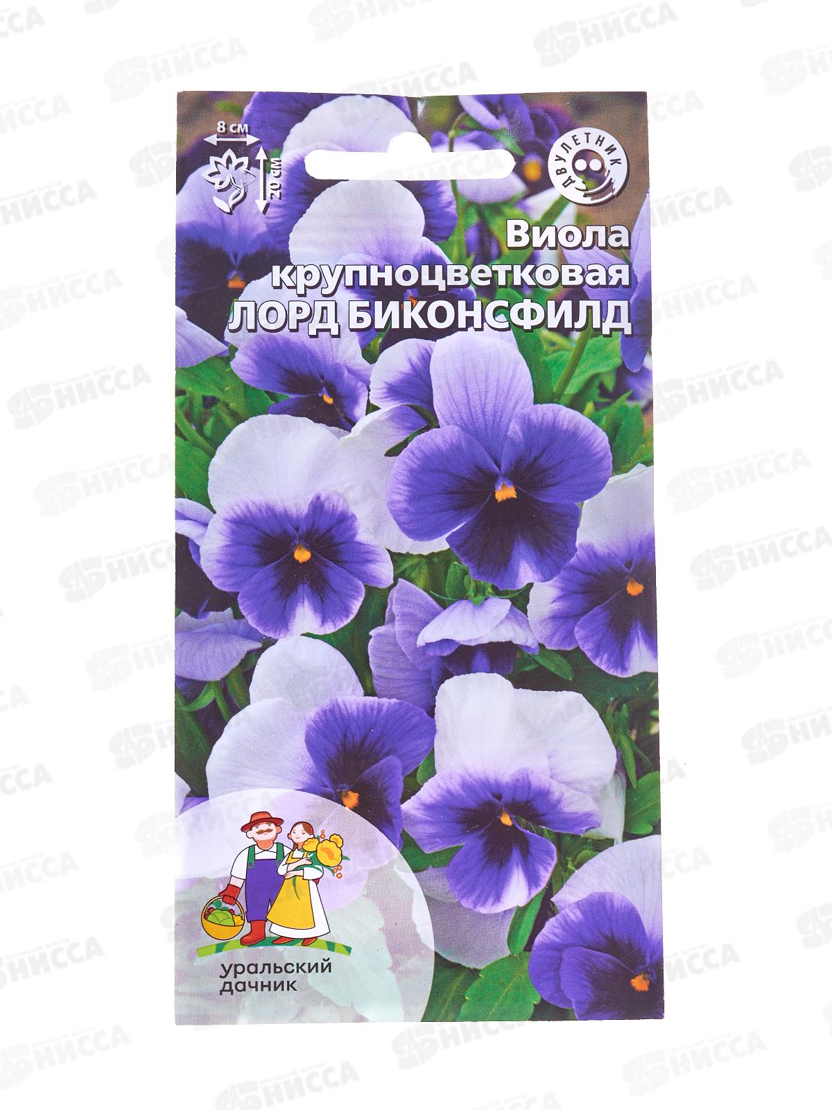 Виола Лорд Биконсфилд Евро крупноцветковая *10 УрД +