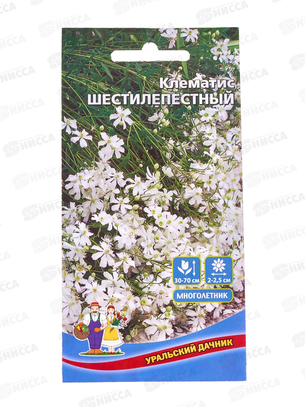 Клематис Шестилепестный Евро *10 УрД +