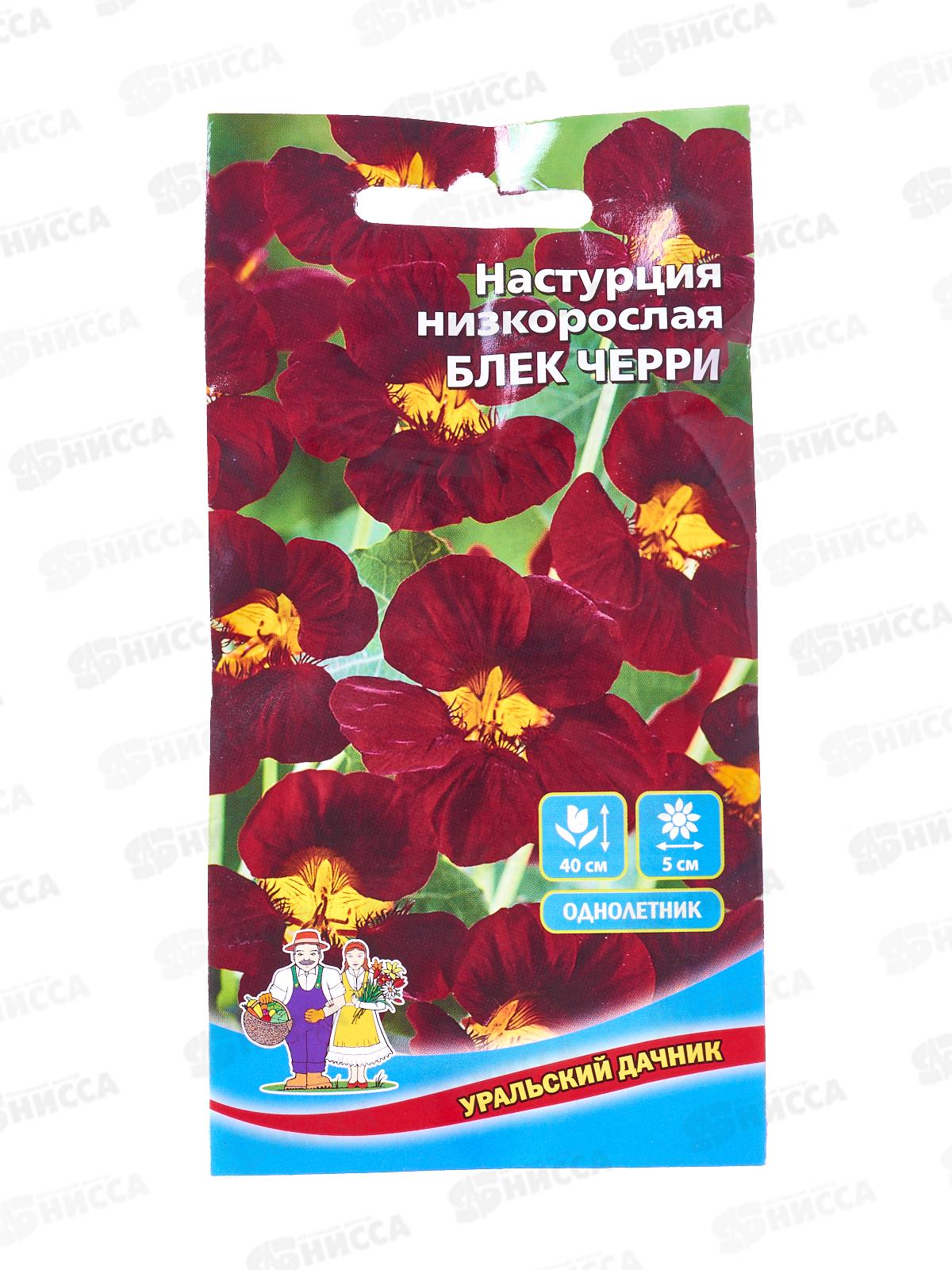 Настурция Блек черри Евро *10 УрД