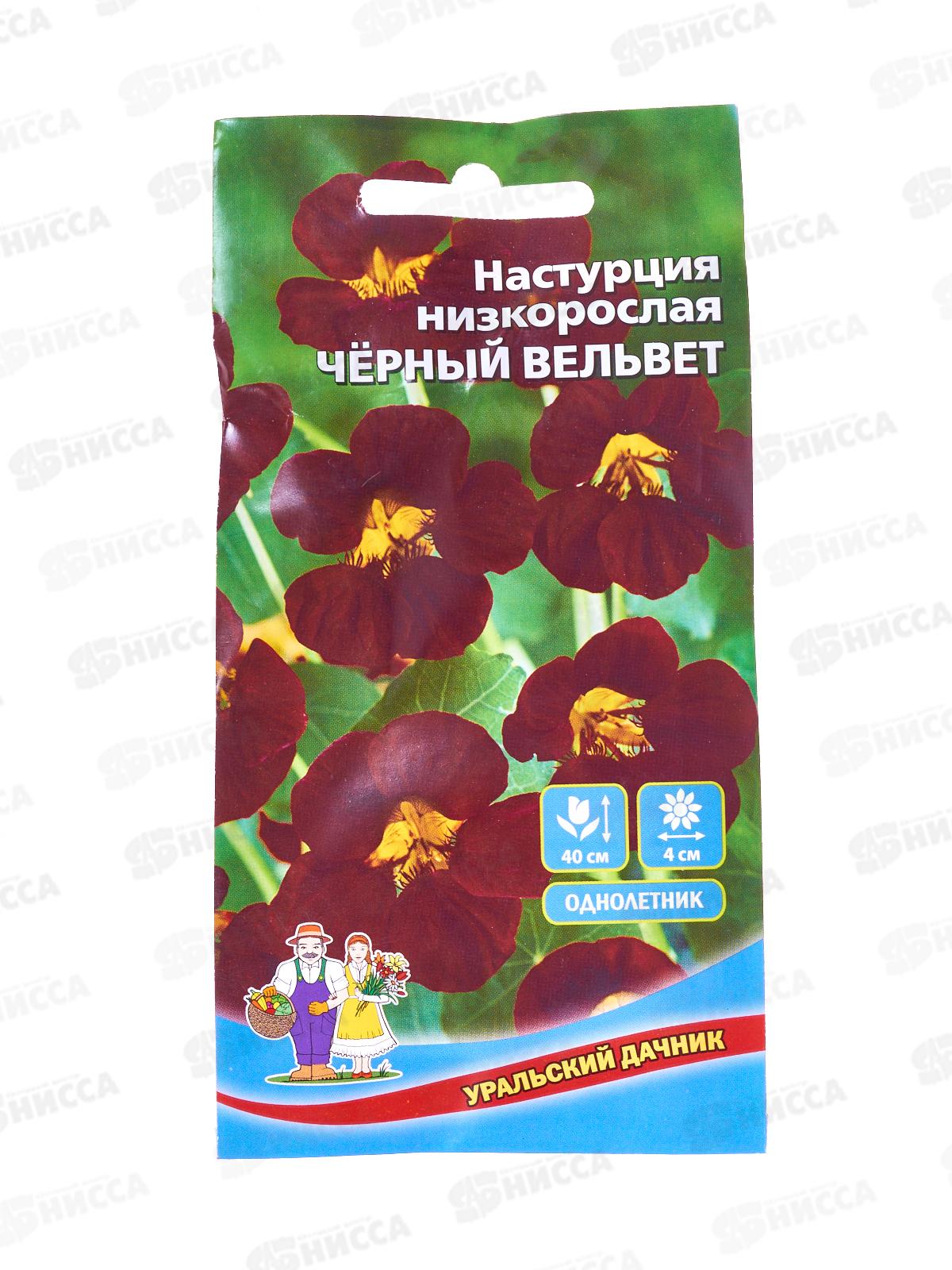 Настурция Черный вельвет Евро низкорослая *10 УрД +