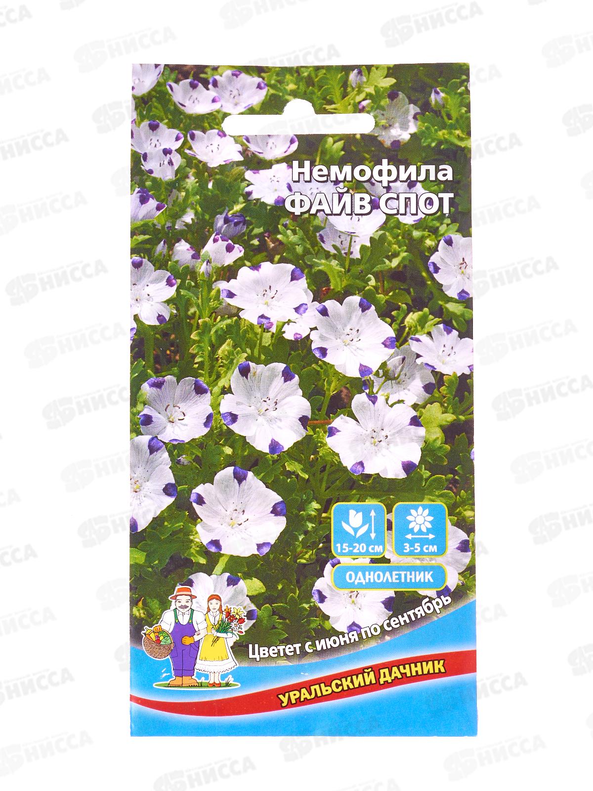 Немофила Файв спот Евро *10 УрД +